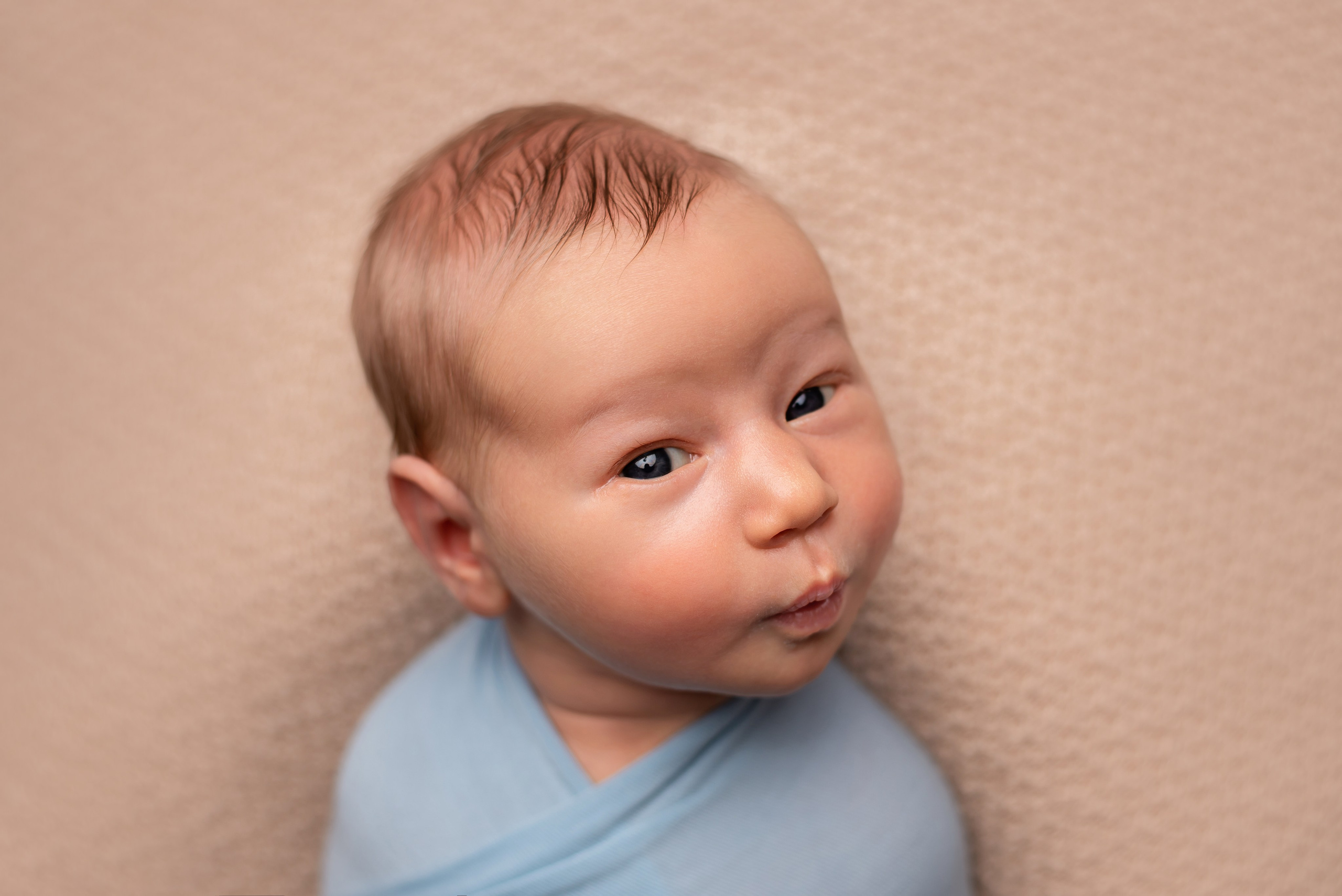 Newborn gallery. In-home newborn photography Raleigh & area Katya Kulikova