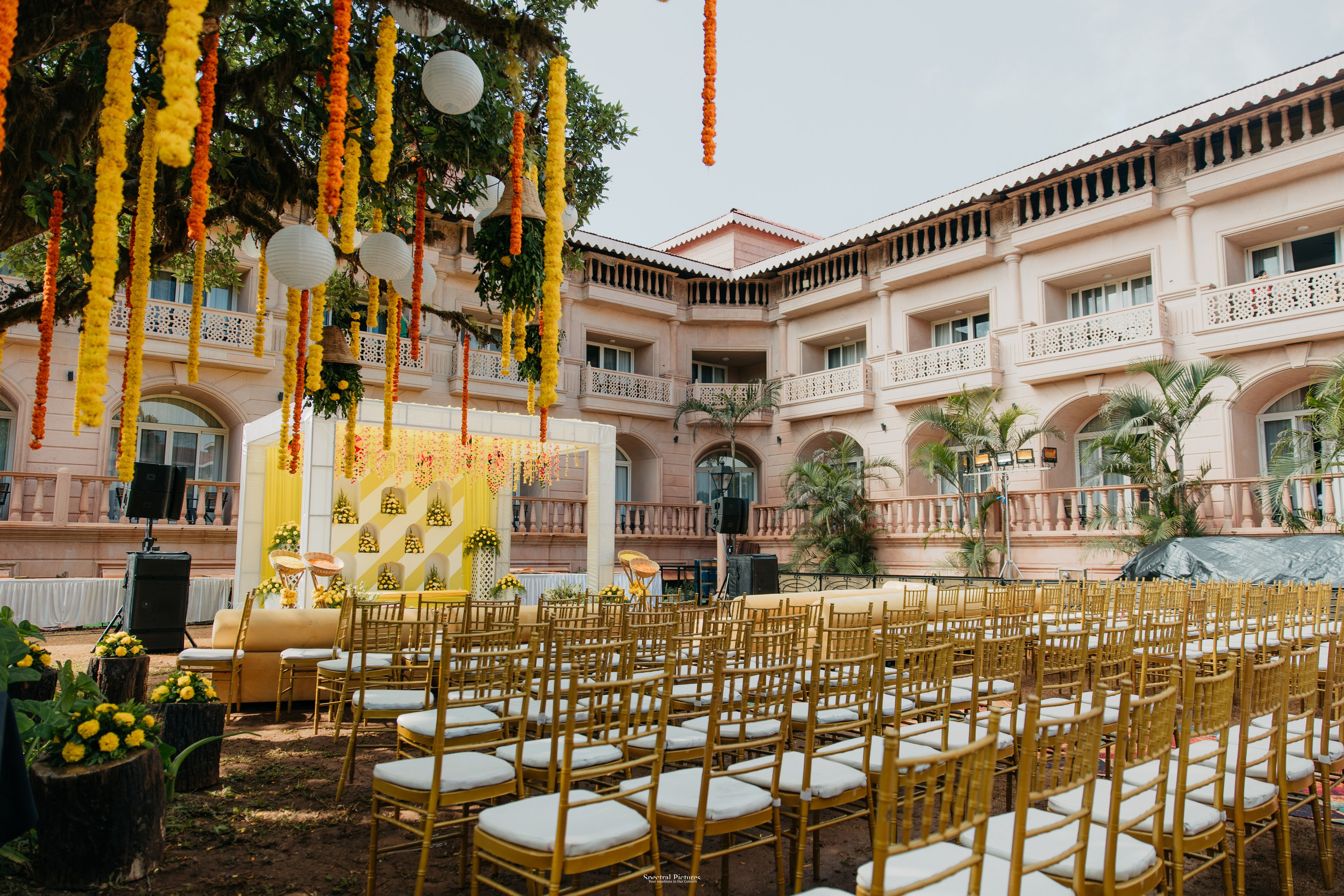 #THEPURALOVESTORY is a journey of two hearts growing in sync, across seasons, challenges, and memories