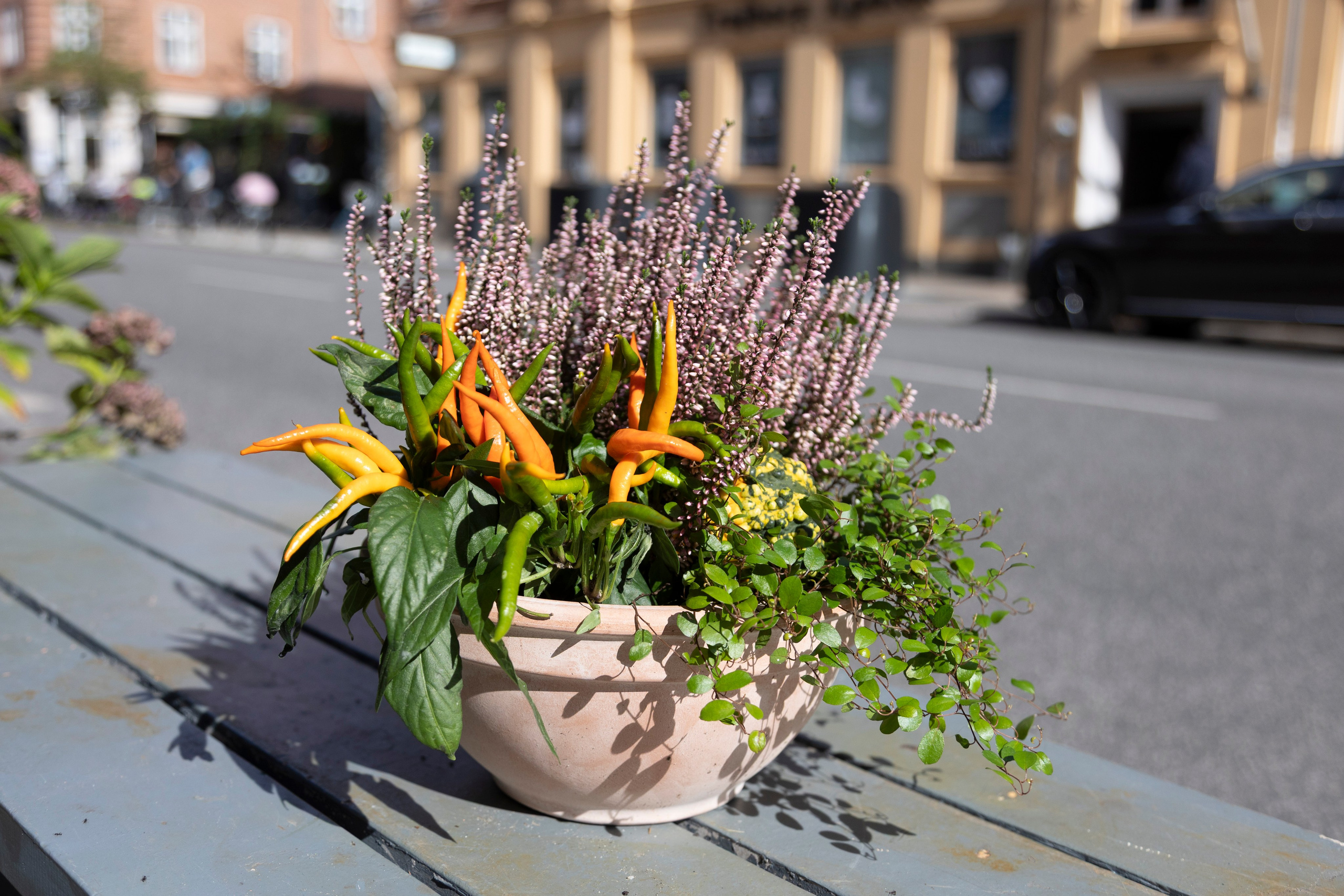 Gavekurve i Aarhus. Akropolis Blomster | Din døgn blomsterbutik i Aarhus