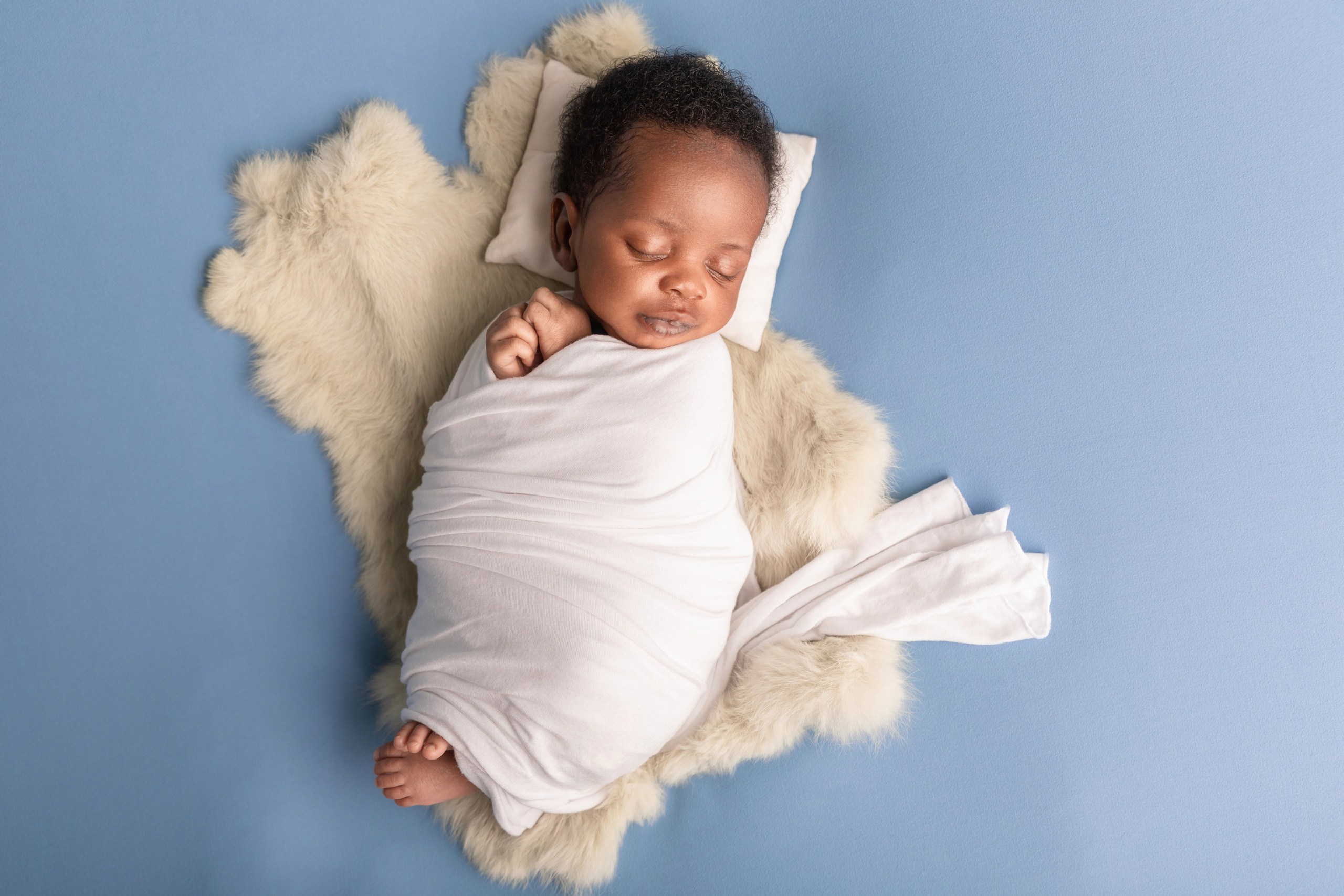 Services. Marina Pravda Photography San Francisco Bay Area