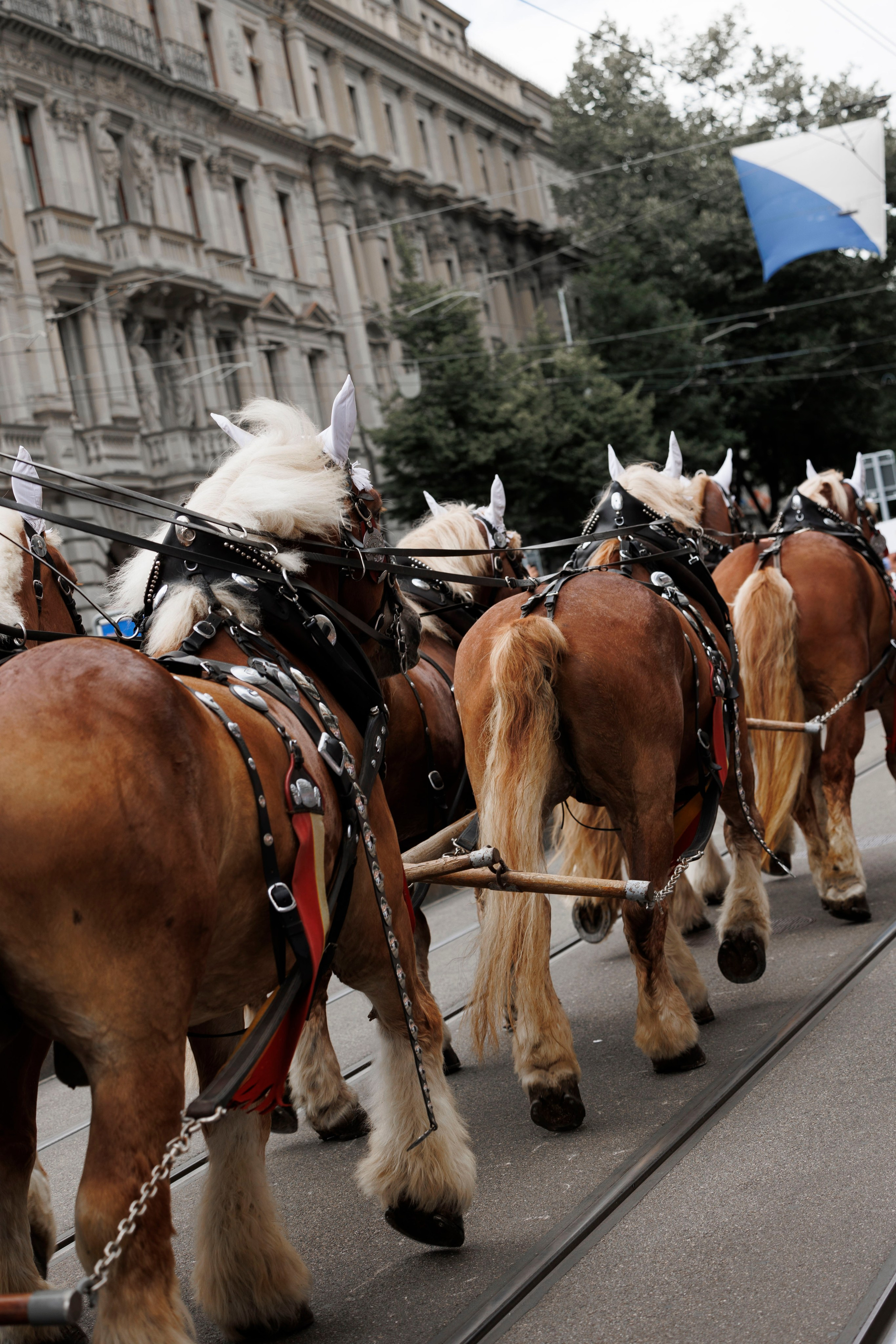 Trachtenfest 24. FotoStory by Lana Gfeller / Kanton Zürich