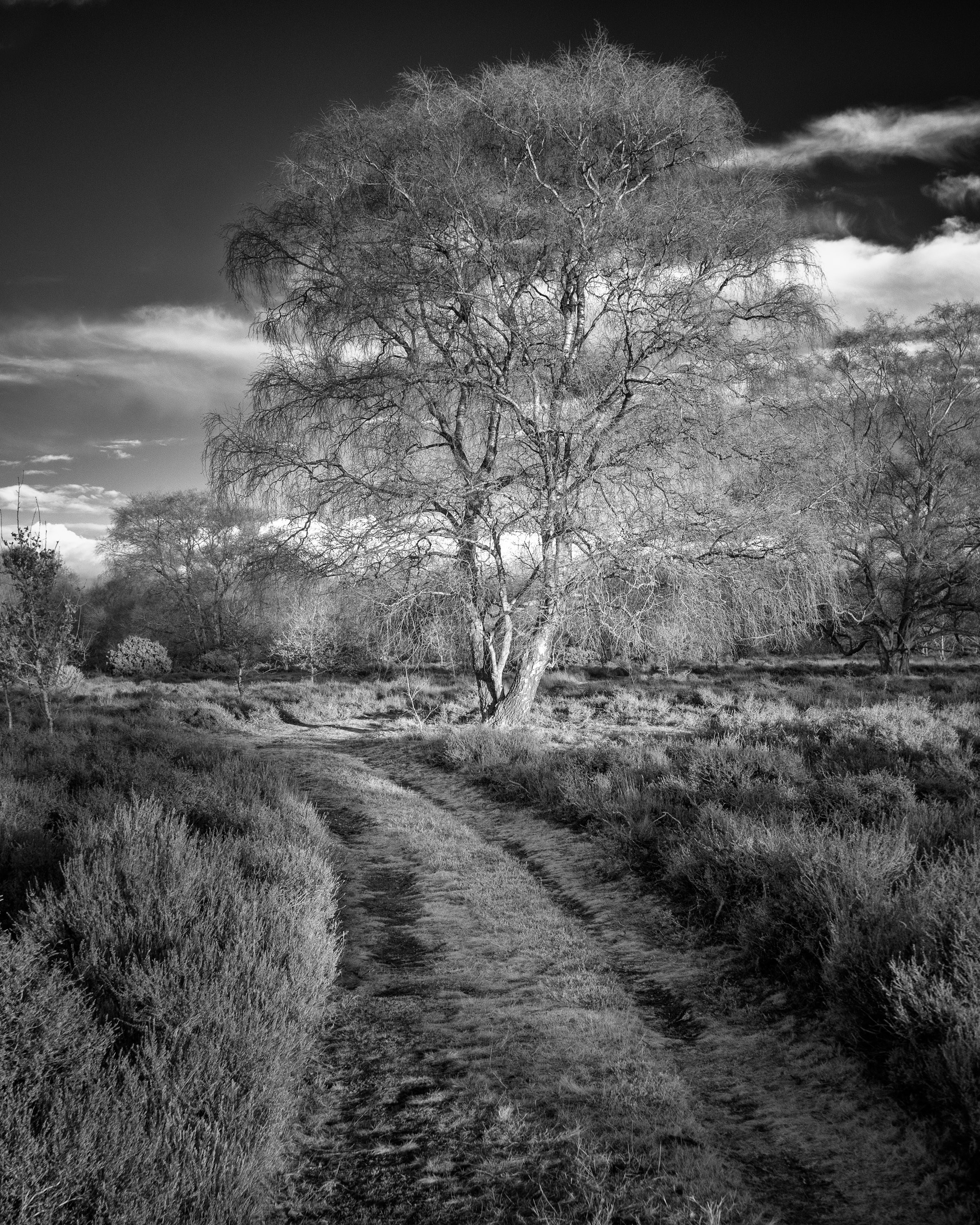UK Landscape & Seascape Gallery. Hedley Wright Photography | East Anglia Sport, Street, Wildlife, Landscape & Astrophotography
