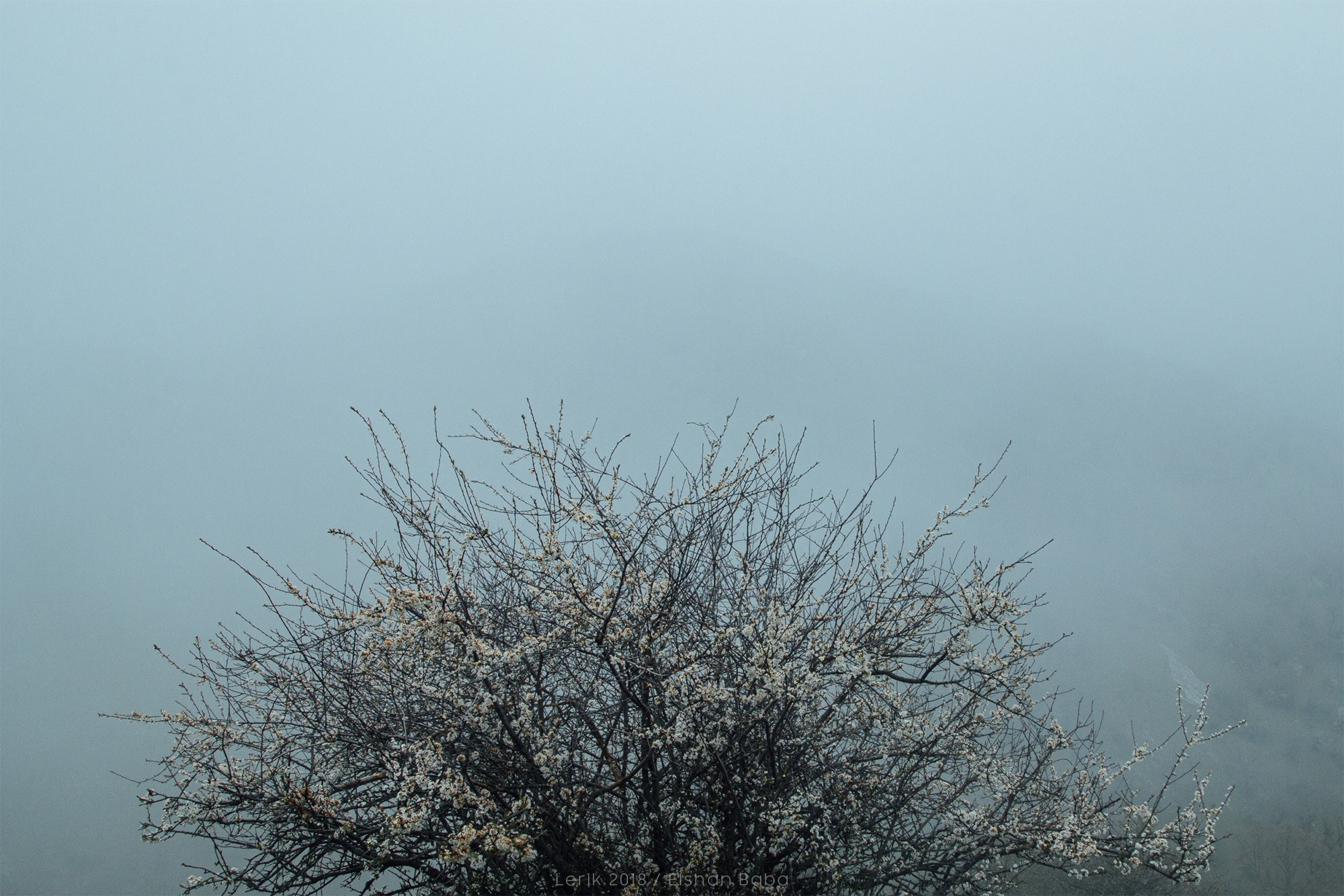 Təbiət Fotoqrafiyası və Portret Çəkilişləri. Bakıda Peşəkar Tədbir, Love Story və Təbiət Fotoqrafı — Elşən Baba