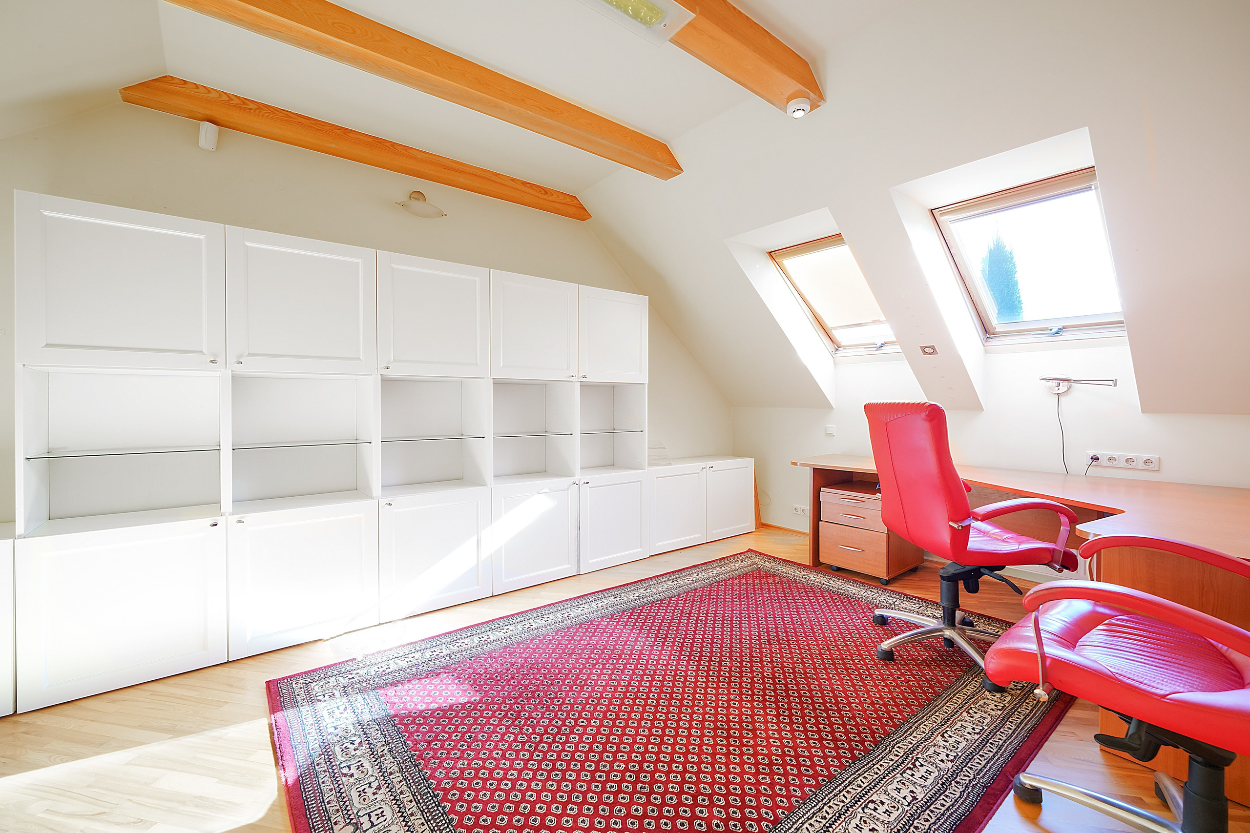 Ežerėlio g. 10. Elina Sapiega fotografė Vilniuje