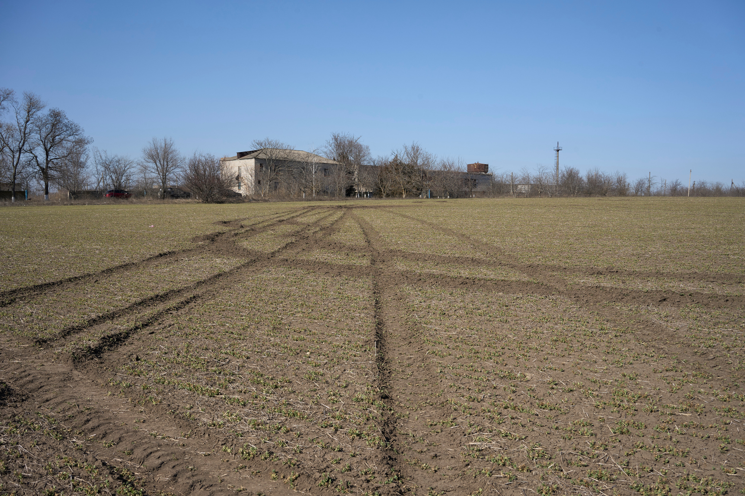 Traces of Russian tanks on the field in Voznesensk.