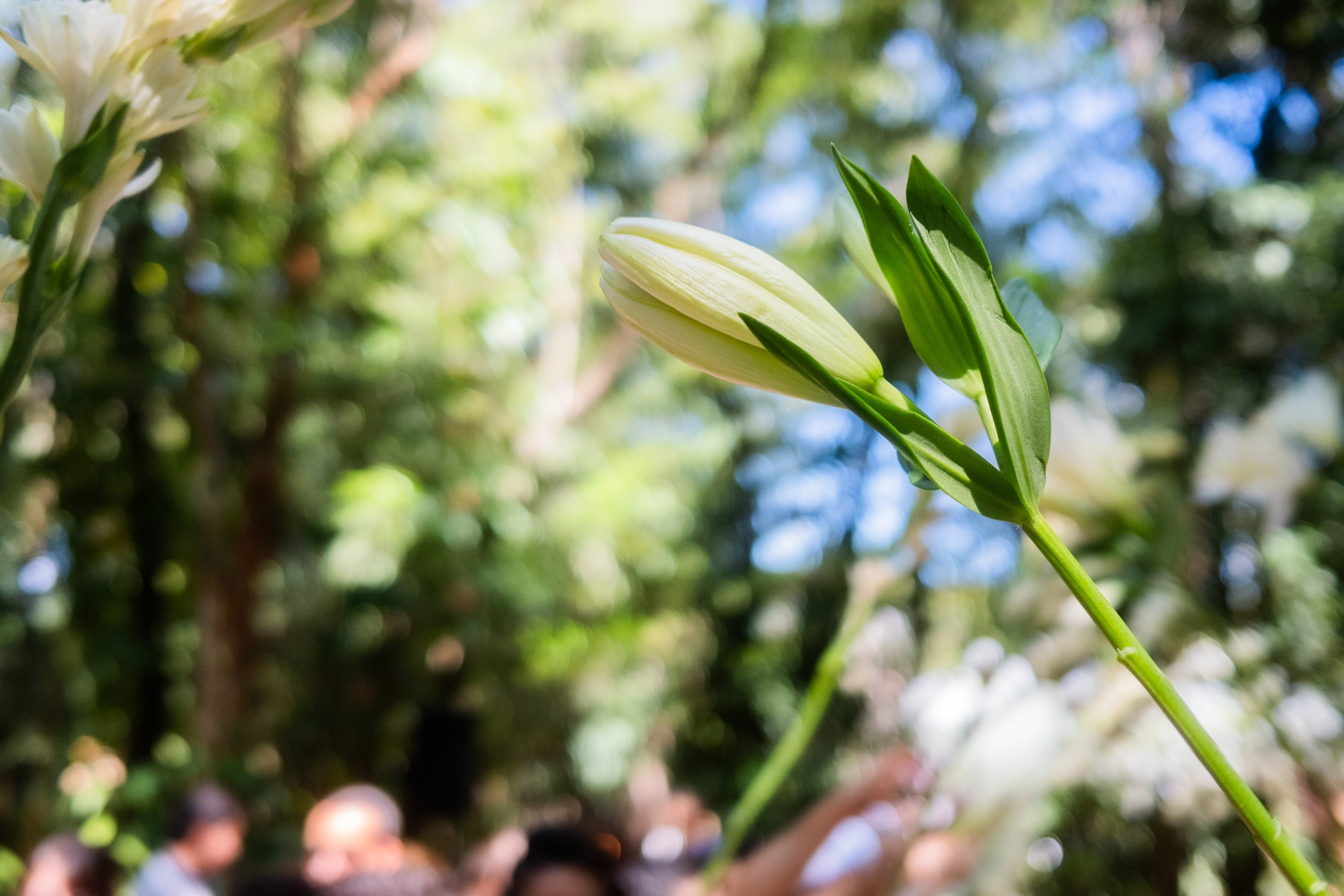 H & L — QUE TREM MAIS LINDOOOOO!. Fotografia de casamento em Belo Horizonte
