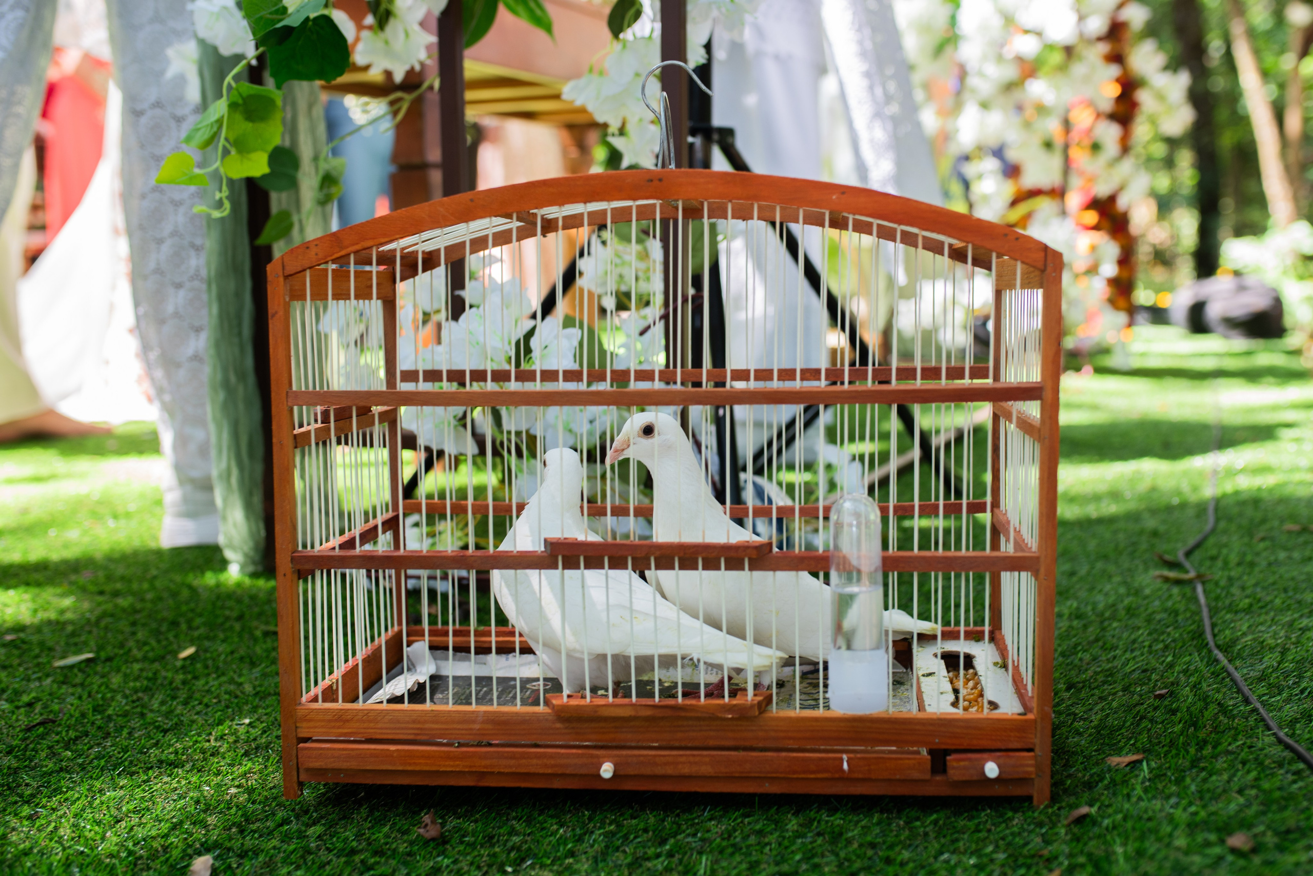 H & L — QUE TREM MAIS LINDOOOOO!. Fotografia de casamento em Belo Horizonte