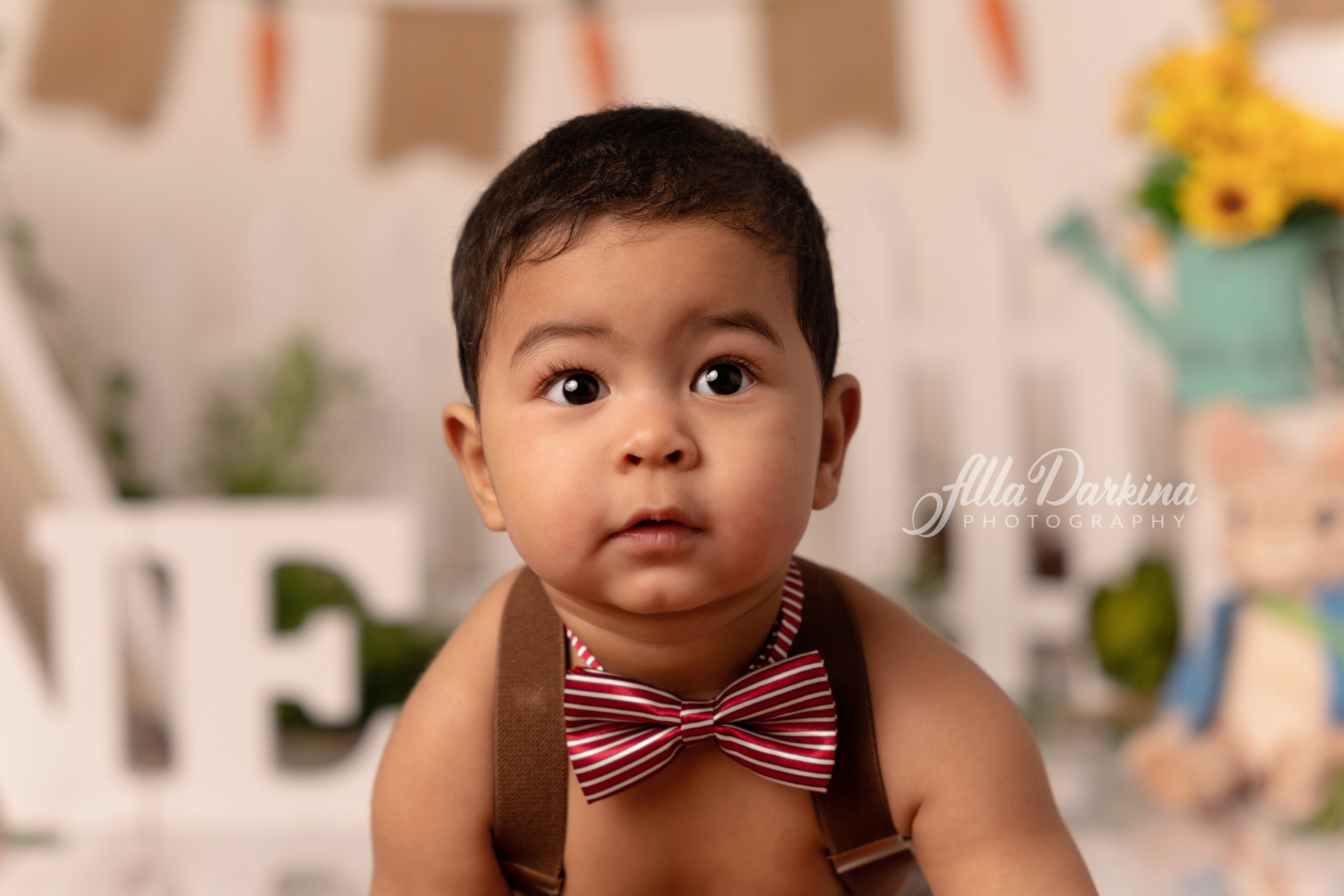 Peter rabbit cake smash for one-year-old baby. Newborn and family photographer. Hills District. Sydney