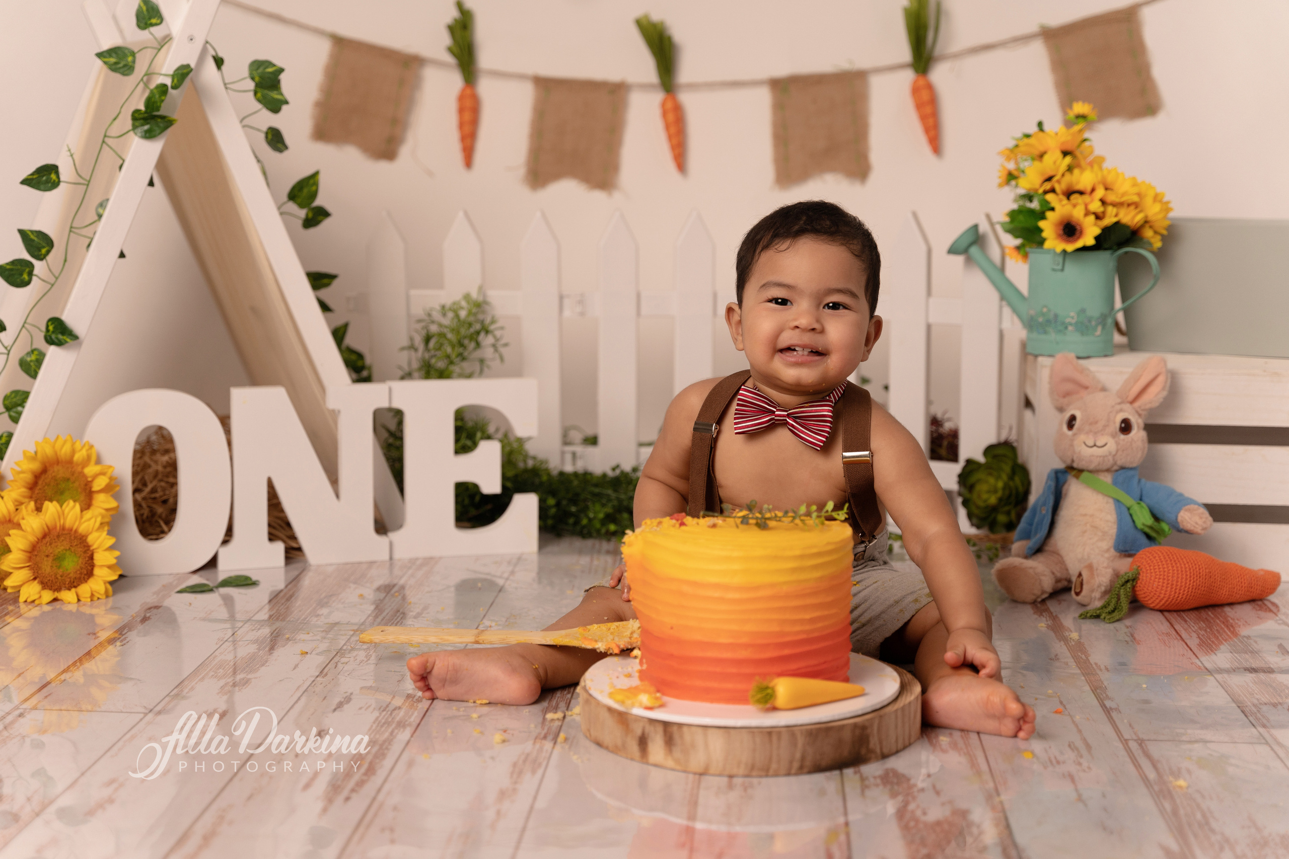 Peter rabbit cake smash for one-year-old baby. Newborn and family photographer. Hills District. Sydney