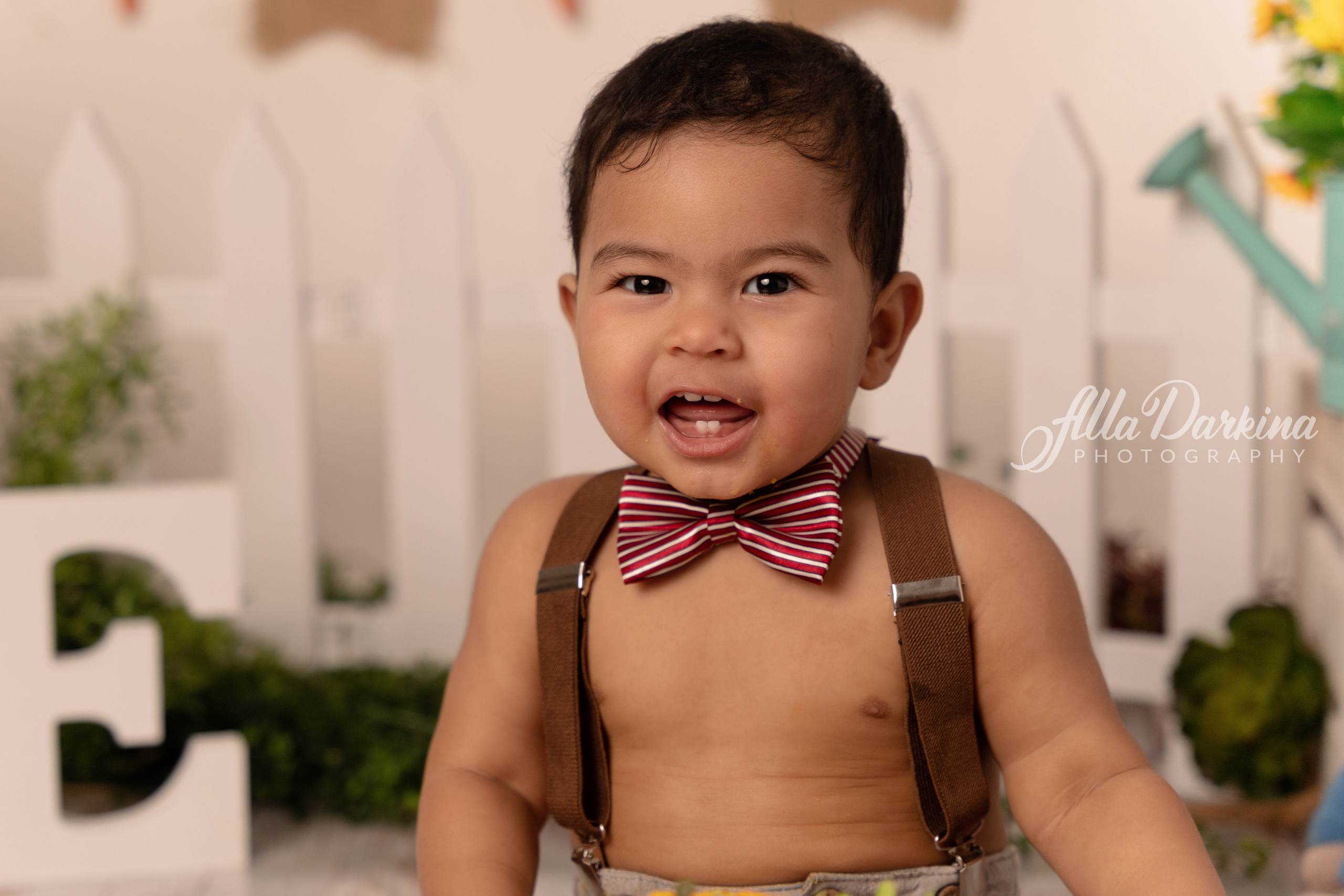 Peter rabbit cake smash for one-year-old baby. Newborn and family photographer. Hills District. Sydney
