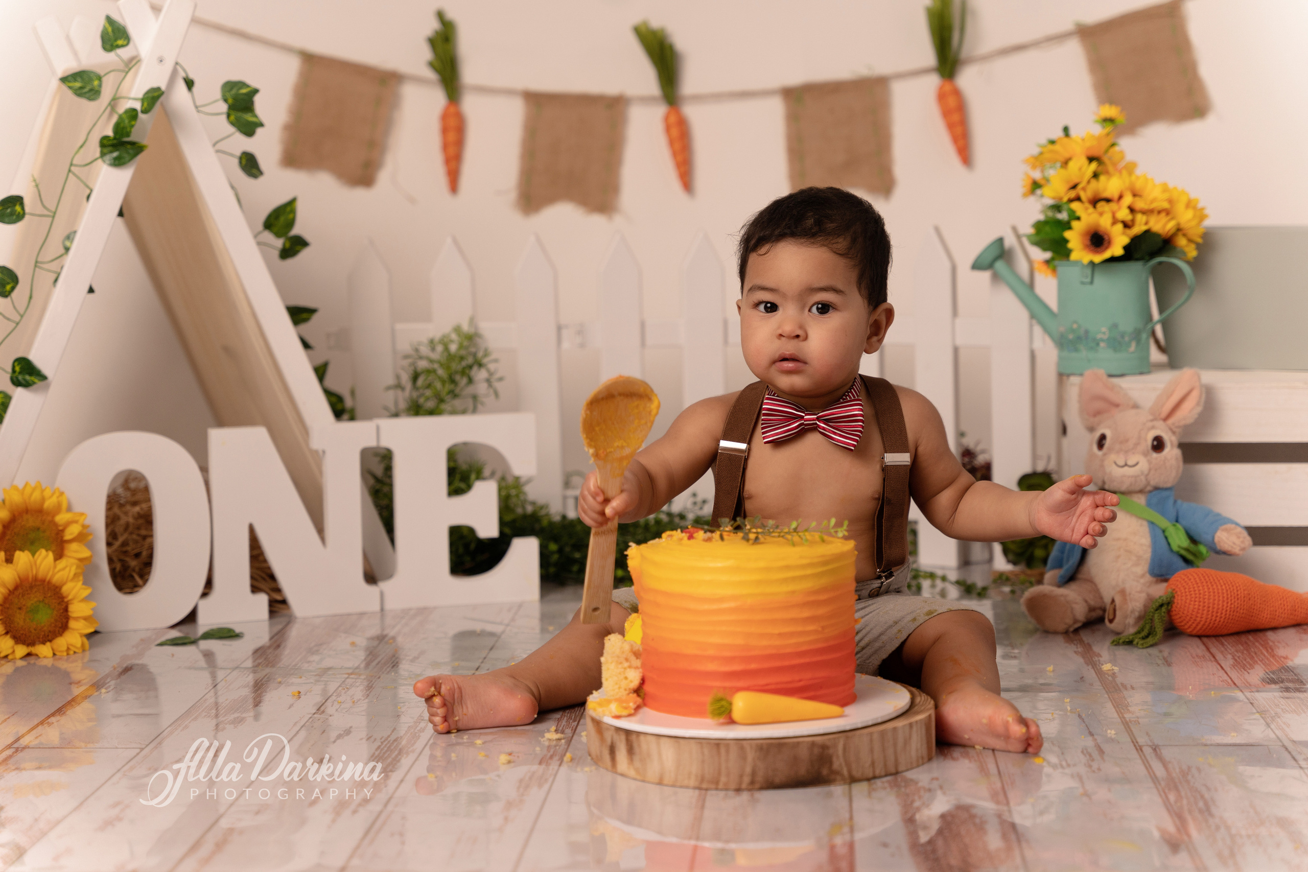 Peter rabbit cake smash for one-year-old baby. Newborn and family photographer. Hills District. Sydney