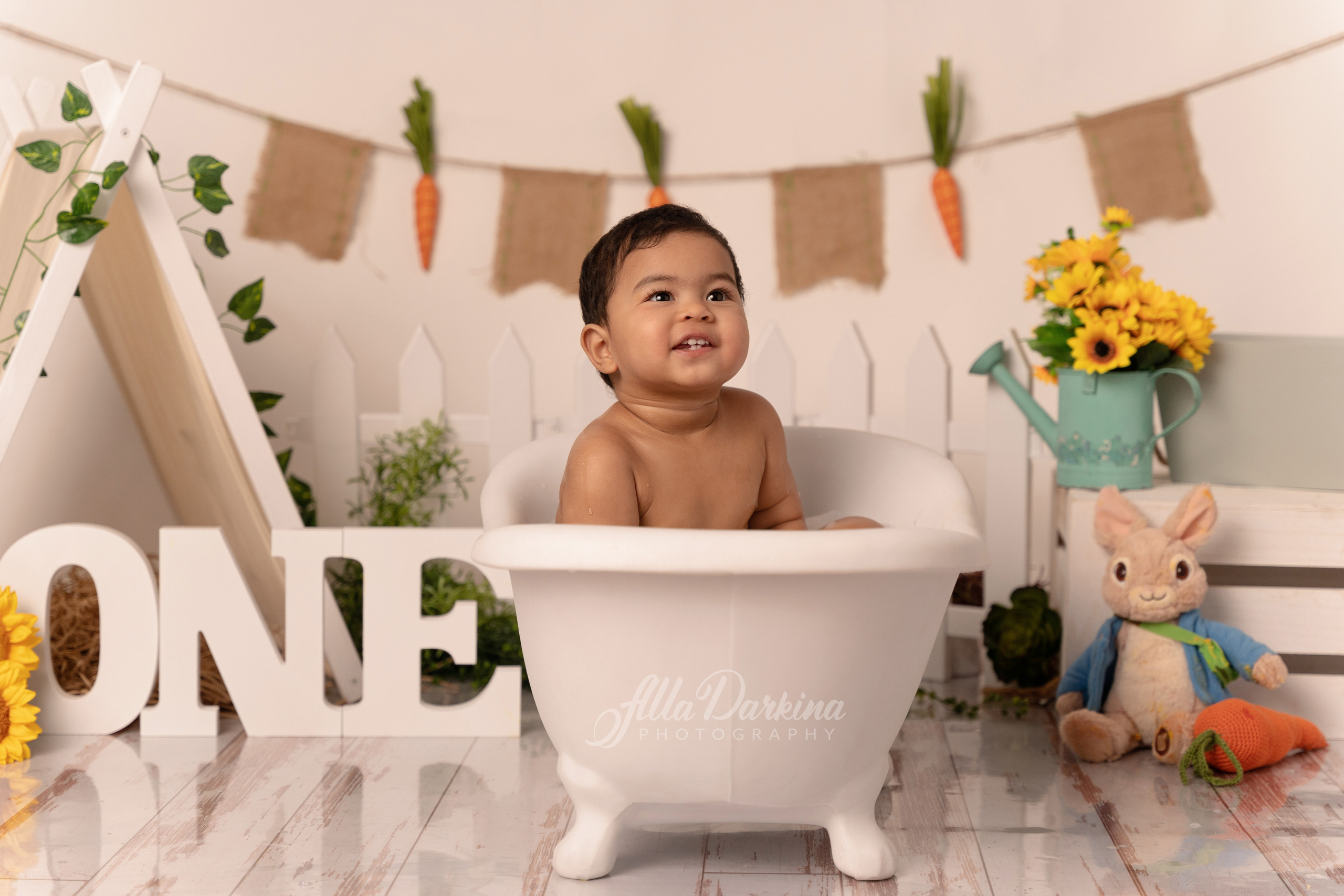 Peter rabbit cake smash for one-year-old baby. Newborn and family photographer. Hills District. Sydney