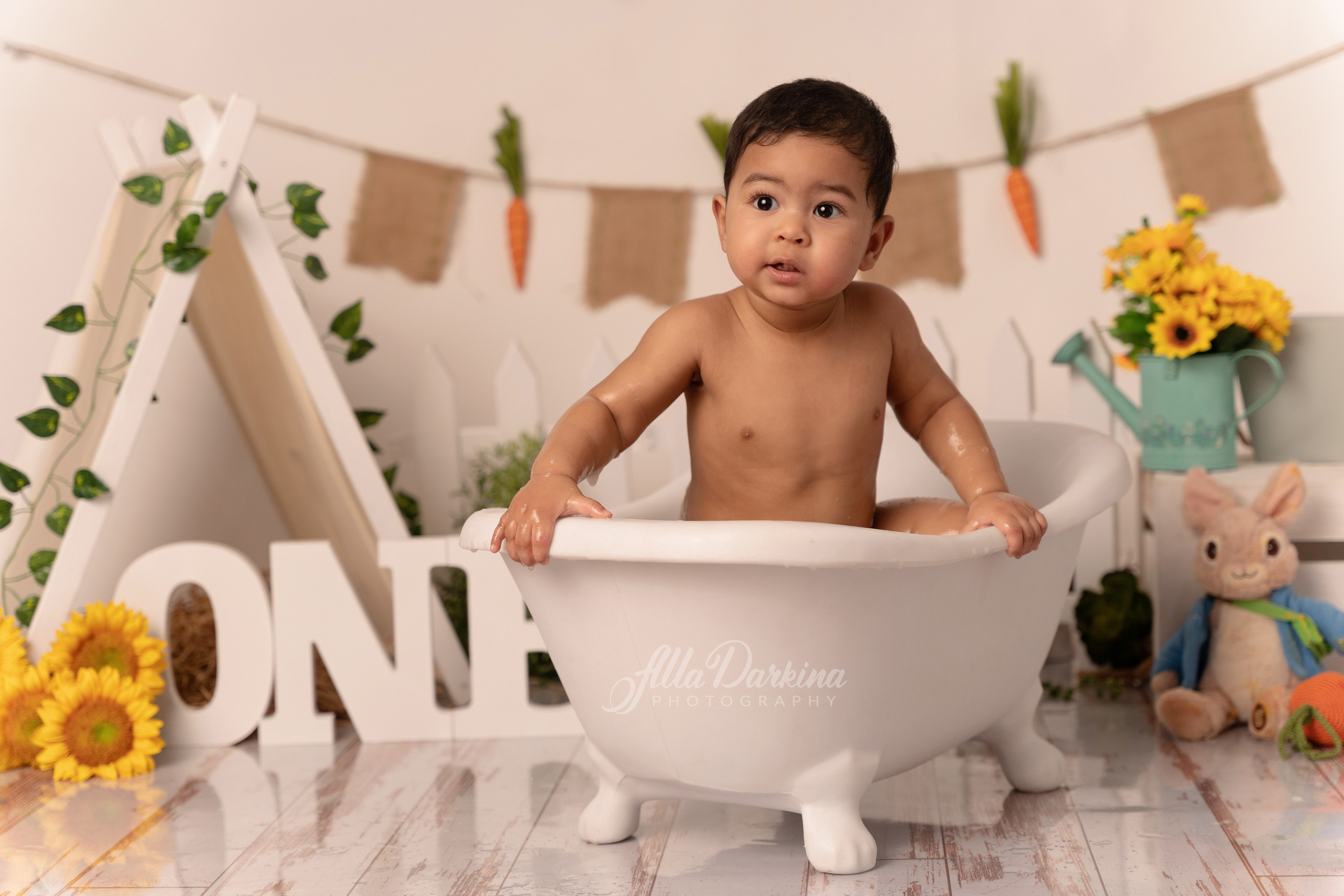 Peter rabbit cake smash for one-year-old baby. Newborn and family photographer. Hills District. Sydney