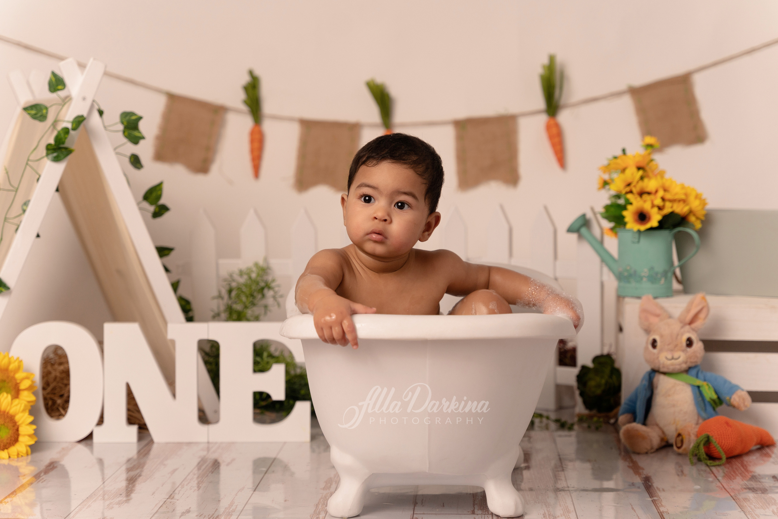 Peter rabbit cake smash for one-year-old baby. Newborn and family photographer. Hills District. Sydney
