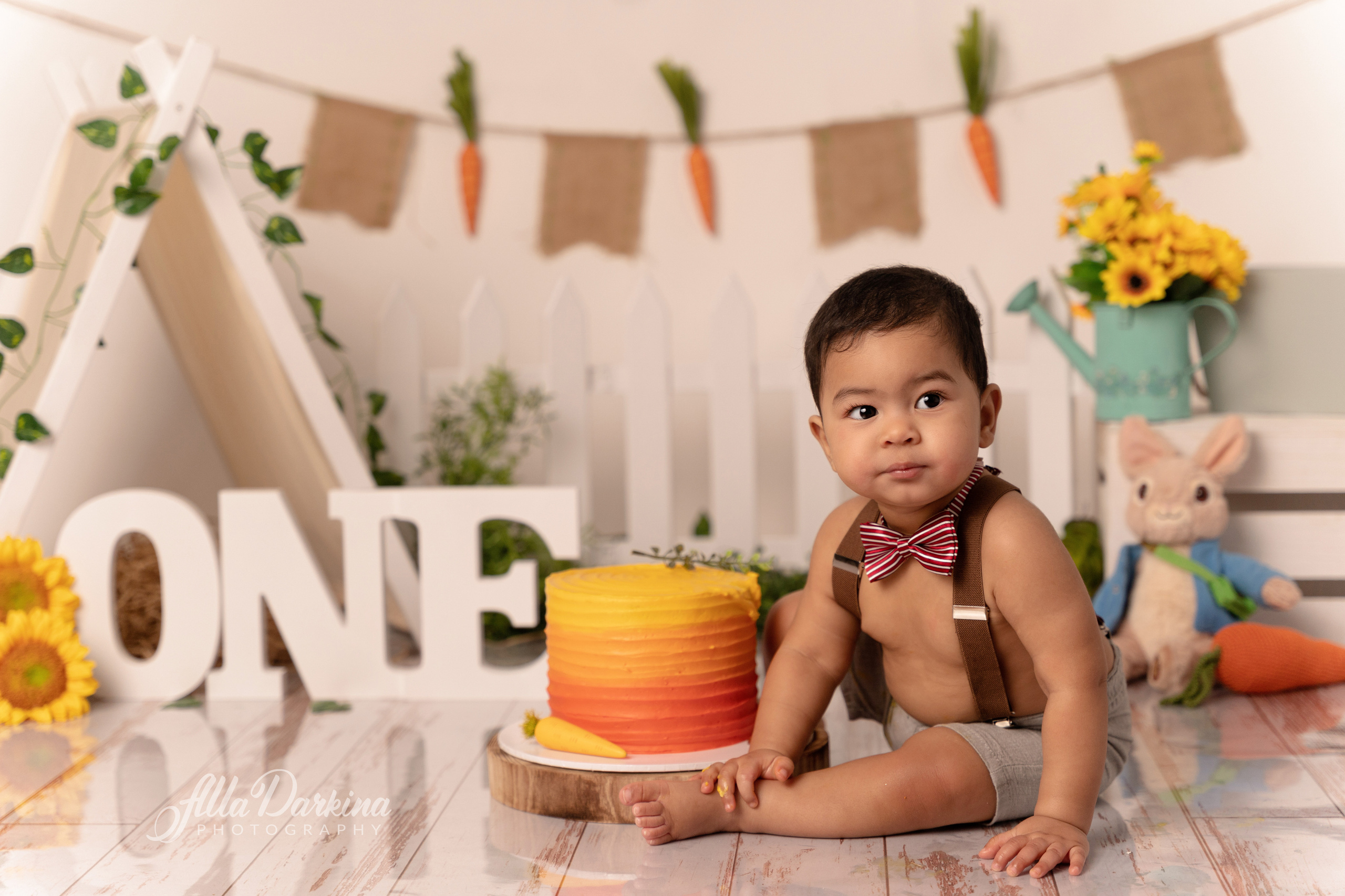 Peter rabbit cake smash for one-year-old baby. Newborn and family photographer. Hills District. Sydney