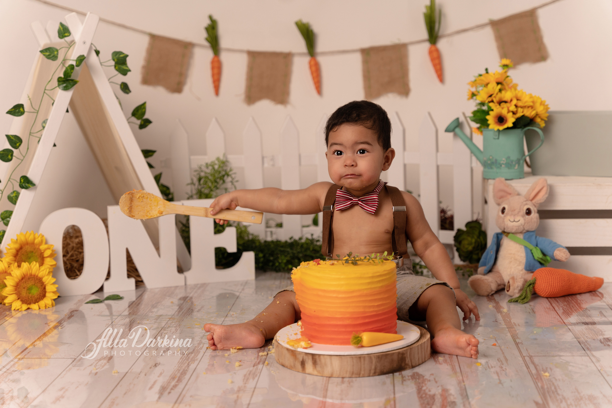Peter rabbit cake smash for one-year-old baby. Newborn and family photographer. Hills District. Sydney