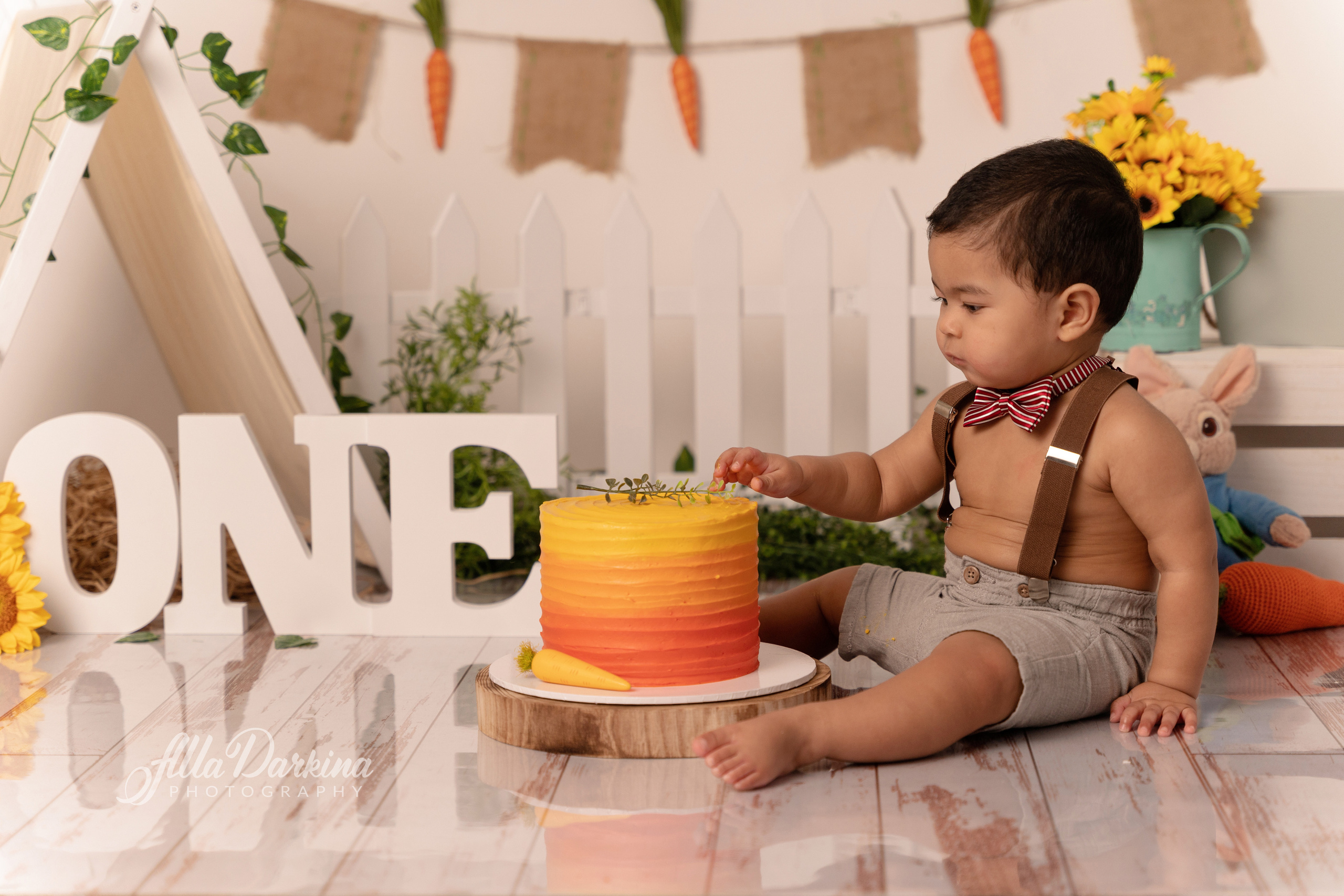 Peter rabbit cake smash for one-year-old baby. Newborn and family photographer. Hills District. Sydney