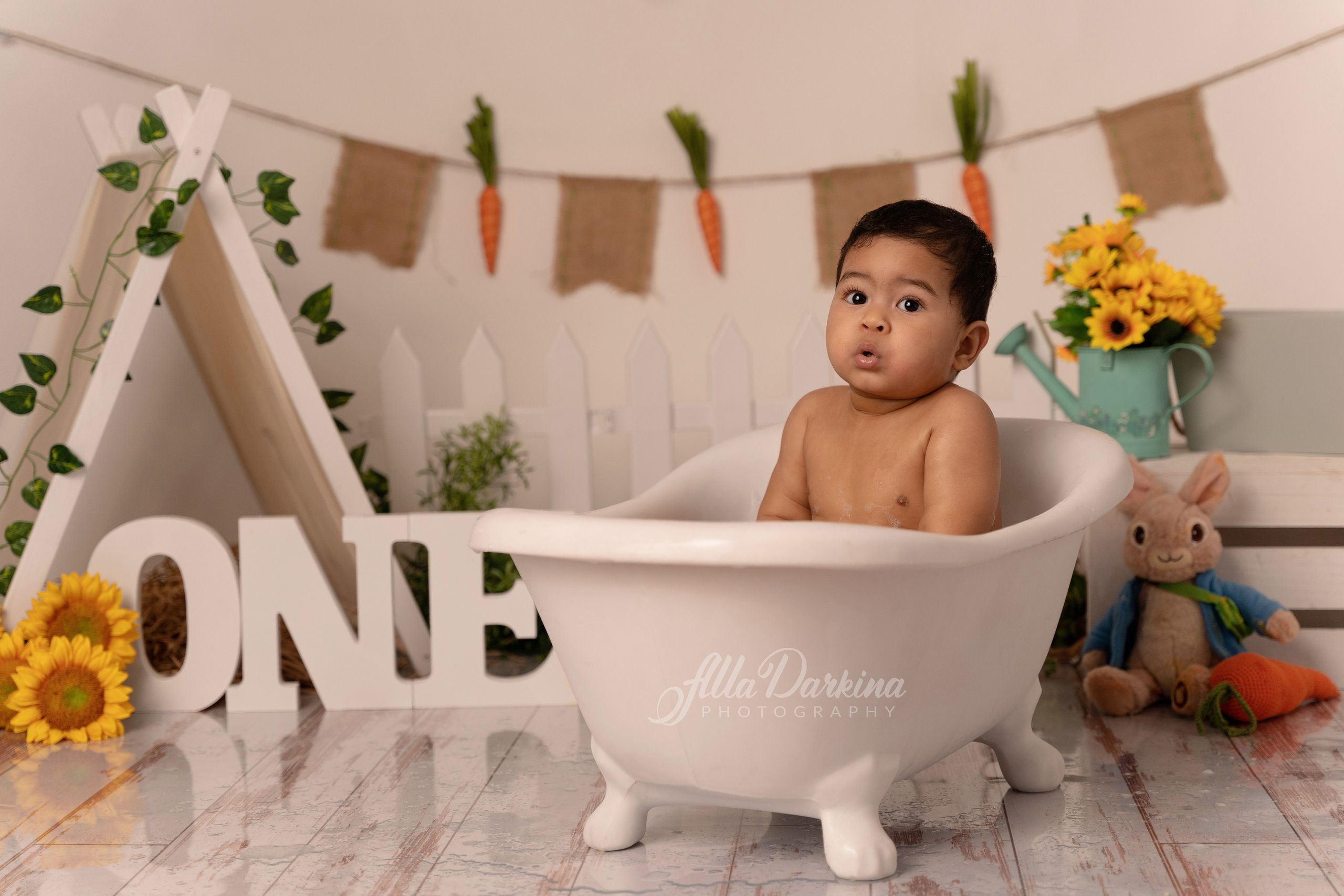 Peter rabbit cake smash for one-year-old baby. Newborn and family photographer. Hills District. Sydney