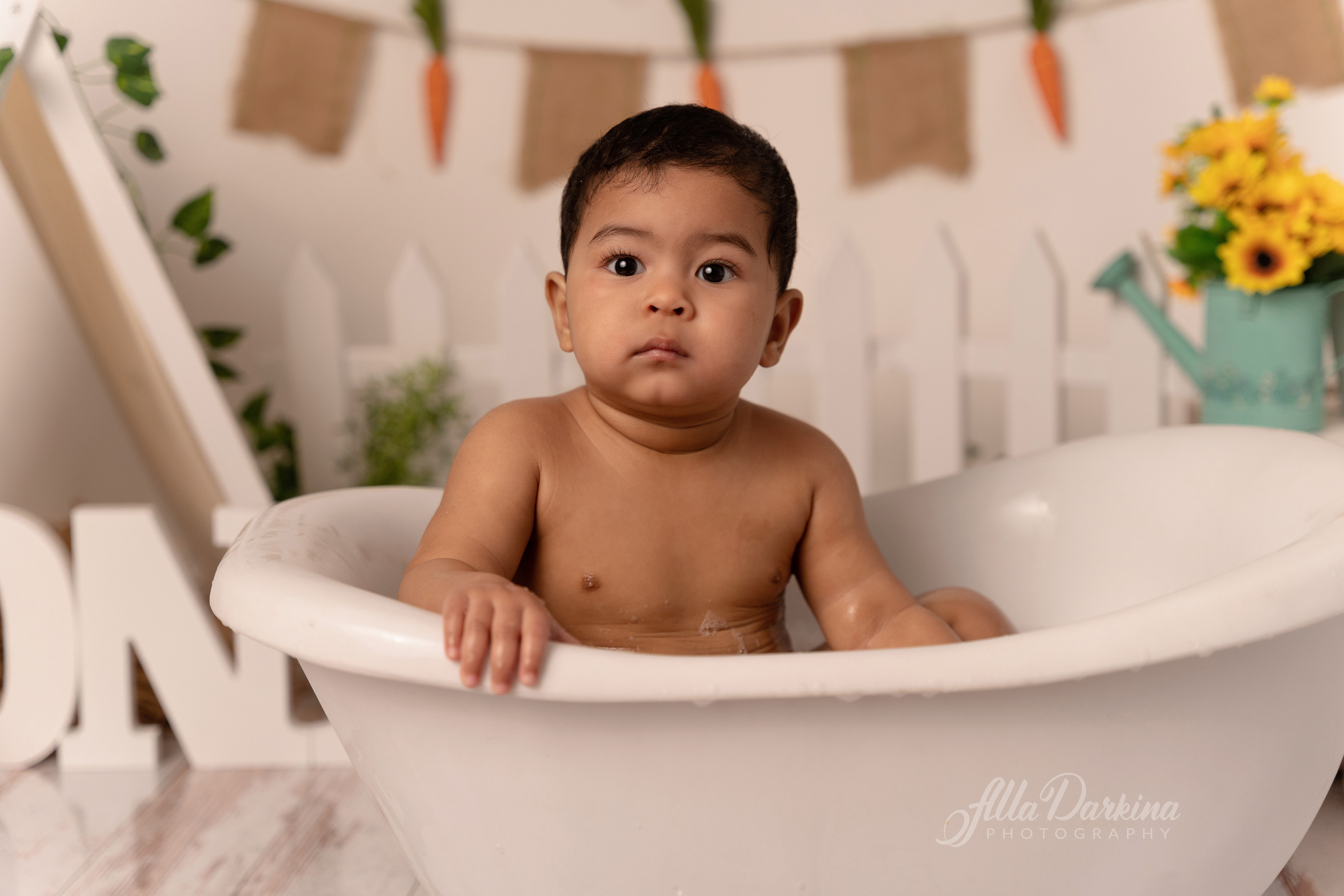 Peter rabbit cake smash for one-year-old baby. Newborn and family photographer. Hills District. Sydney