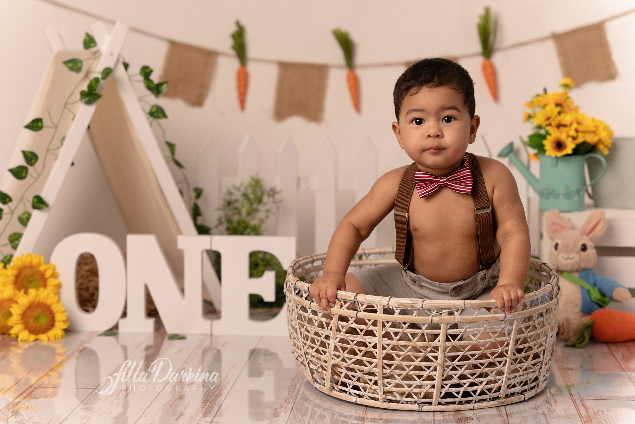 Peter rabbit cake smash for one-year-old baby. Newborn and family photographer. Hills District. Sydney