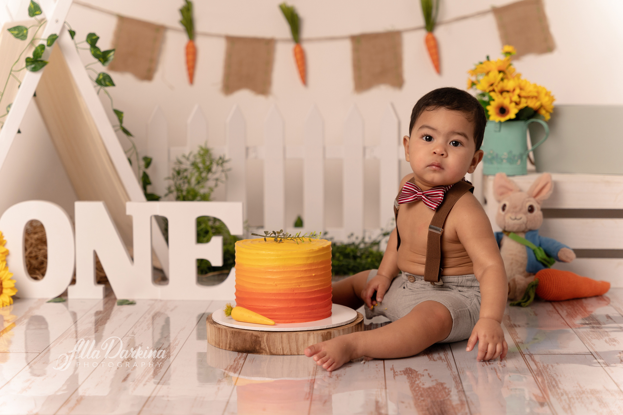 Peter rabbit cake smash for one-year-old baby. Newborn and family photographer. Hills District. Sydney
