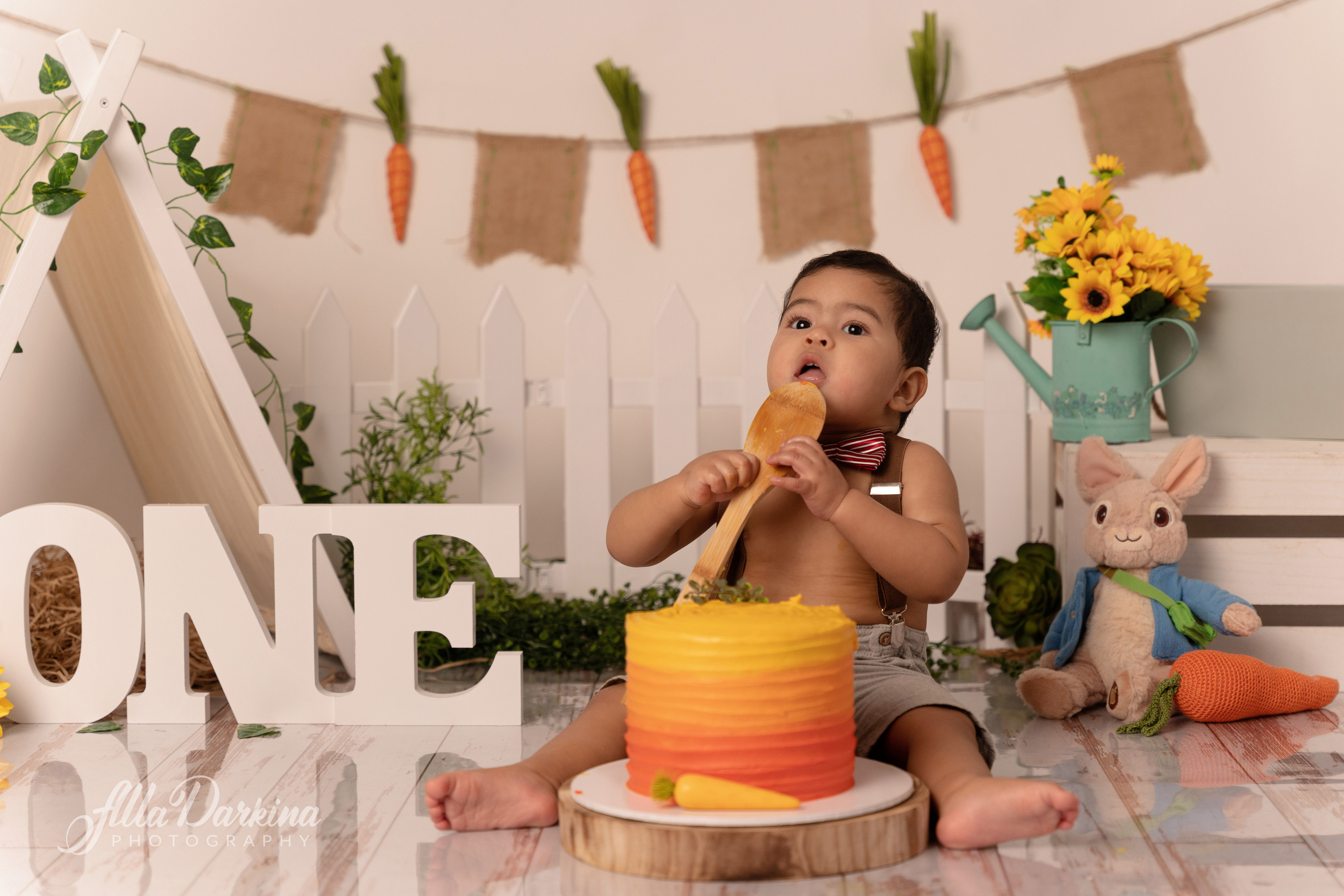 Peter rabbit cake smash for one-year-old baby. Newborn and family photographer. Hills District. Sydney