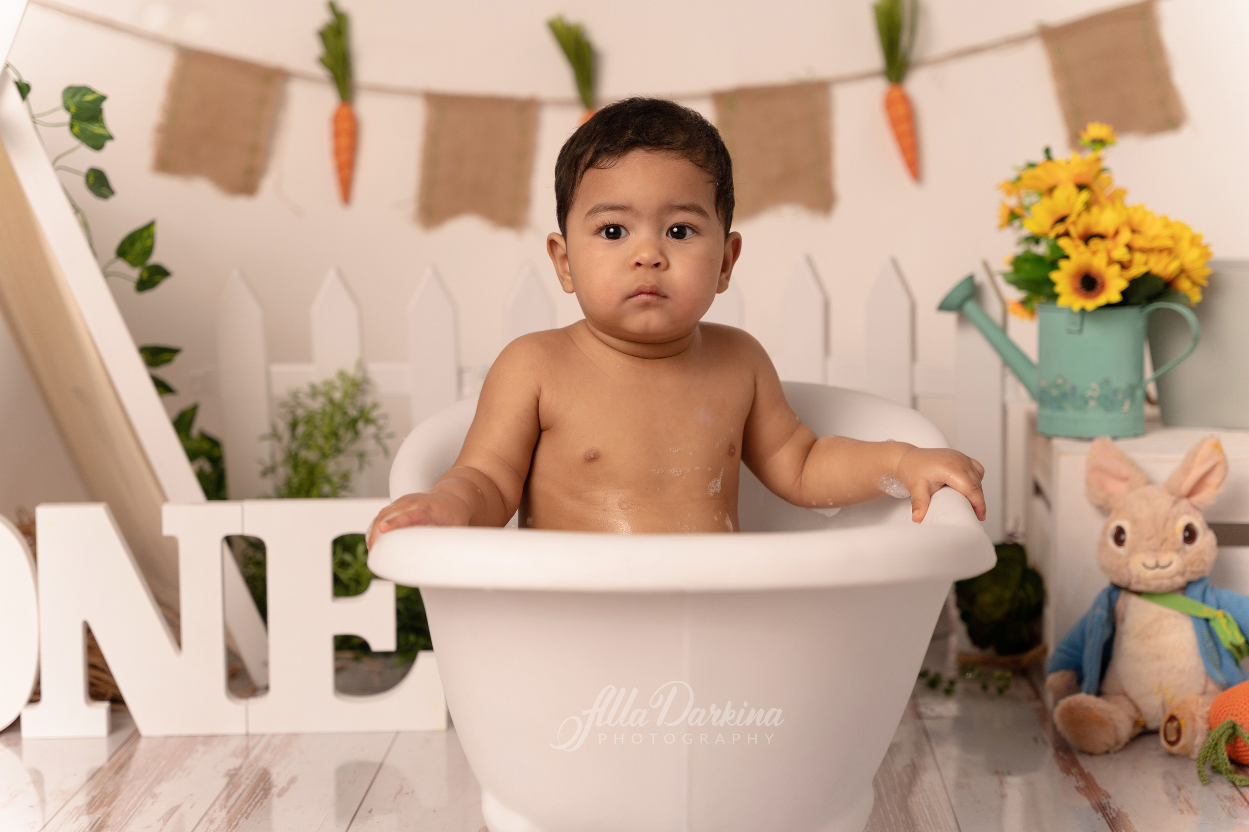 Peter rabbit cake smash for one-year-old baby. Newborn and family photographer. Hills District. Sydney