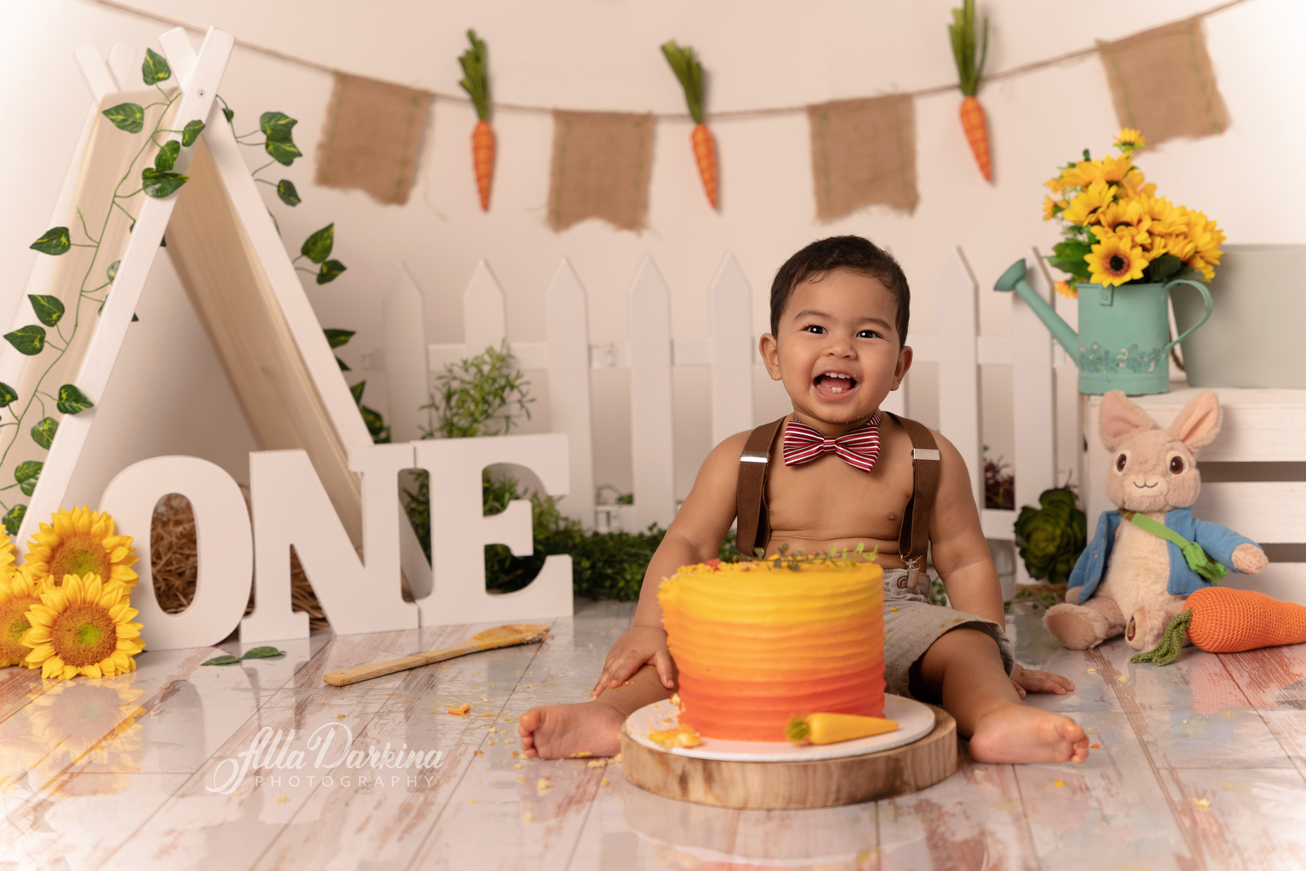 Peter rabbit cake smash for one-year-old baby. Newborn and family photographer. Hills District. Sydney