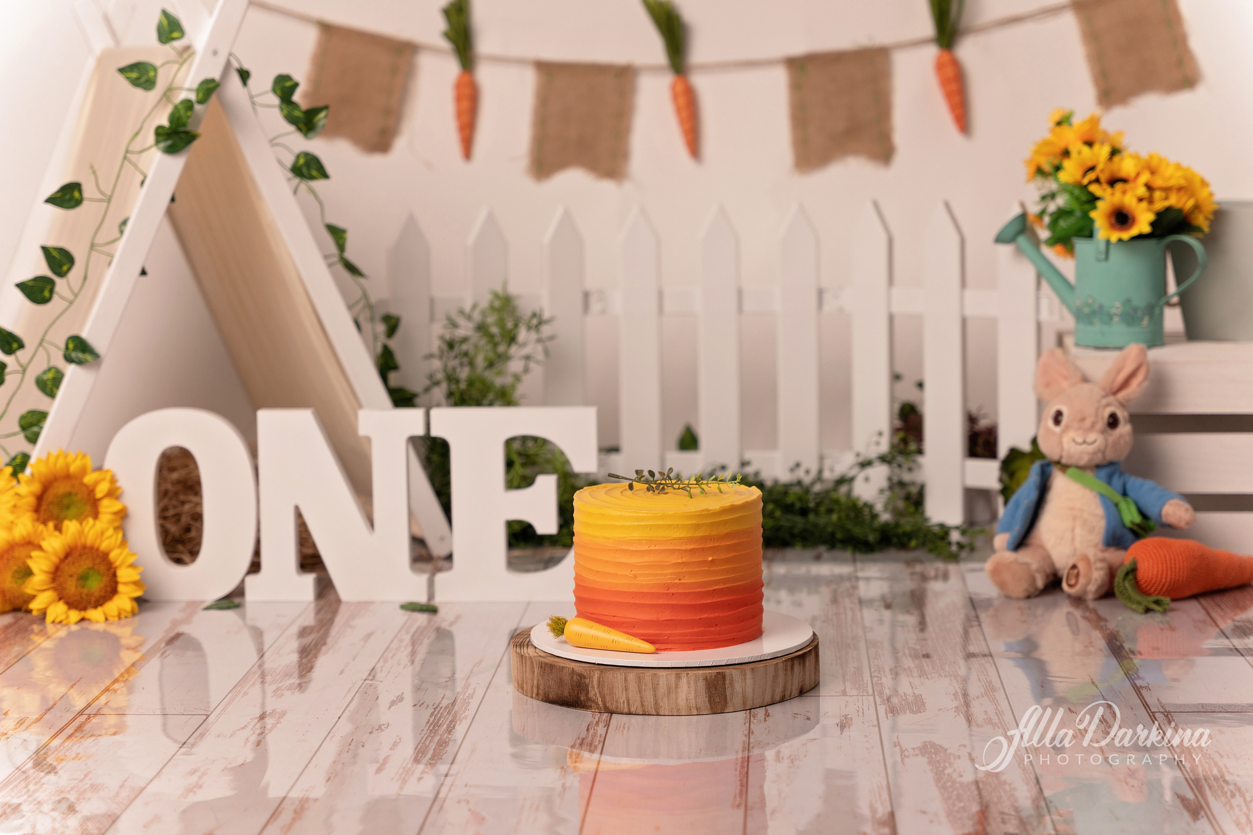 Peter rabbit cake smash for one-year-old baby. Newborn and family photographer. Hills District. Sydney
