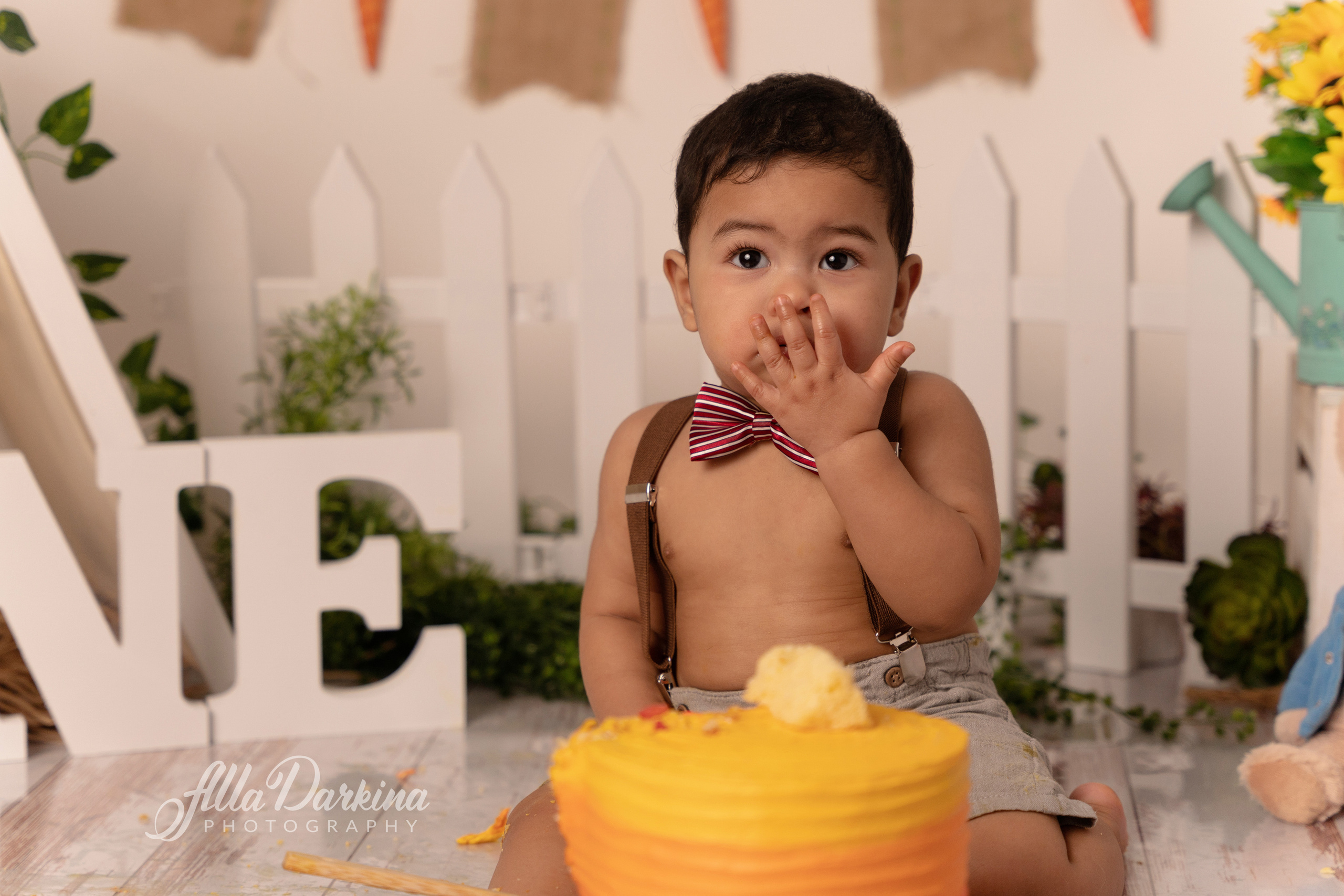 Peter rabbit cake smash for one-year-old baby. Newborn and family photographer. Hills District. Sydney
