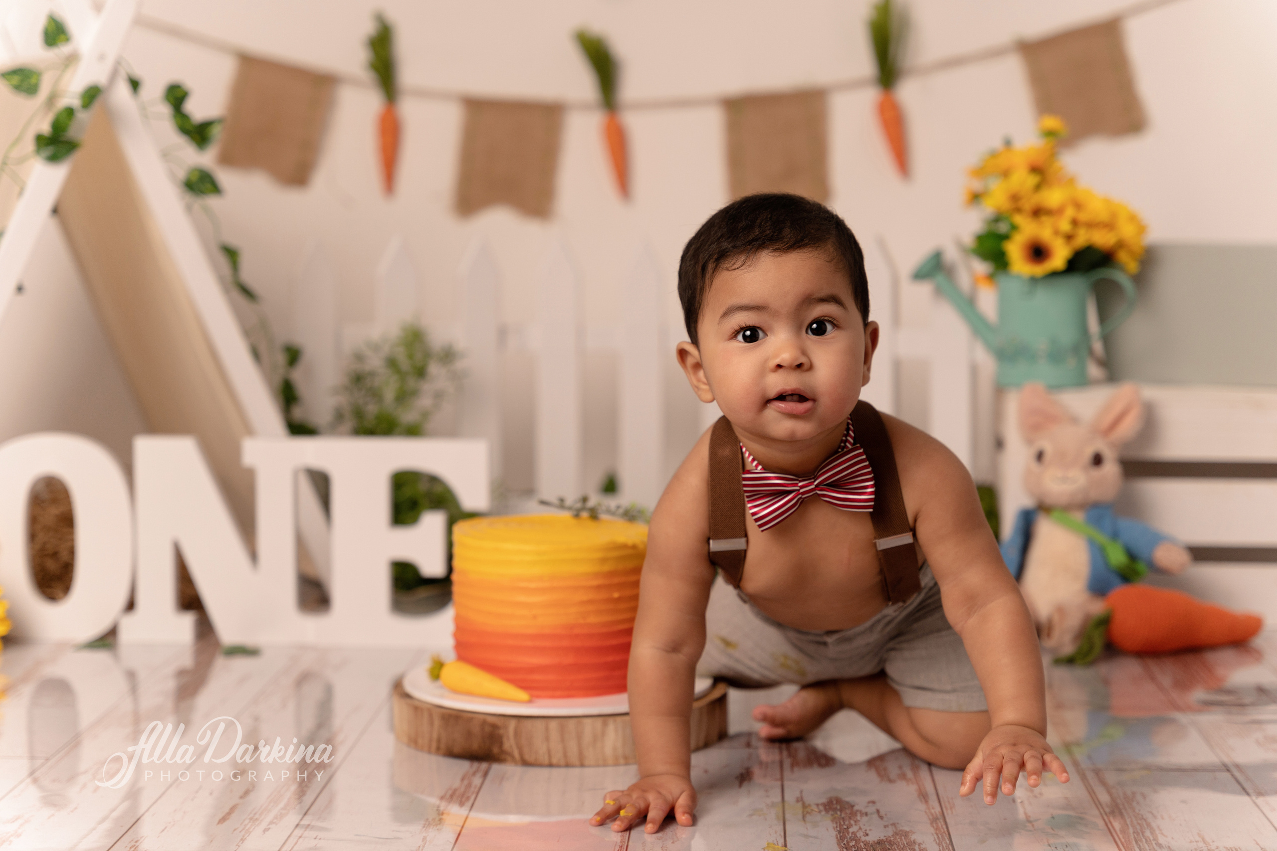 Peter rabbit cake smash for one-year-old baby. Newborn and family photographer. Hills District. Sydney