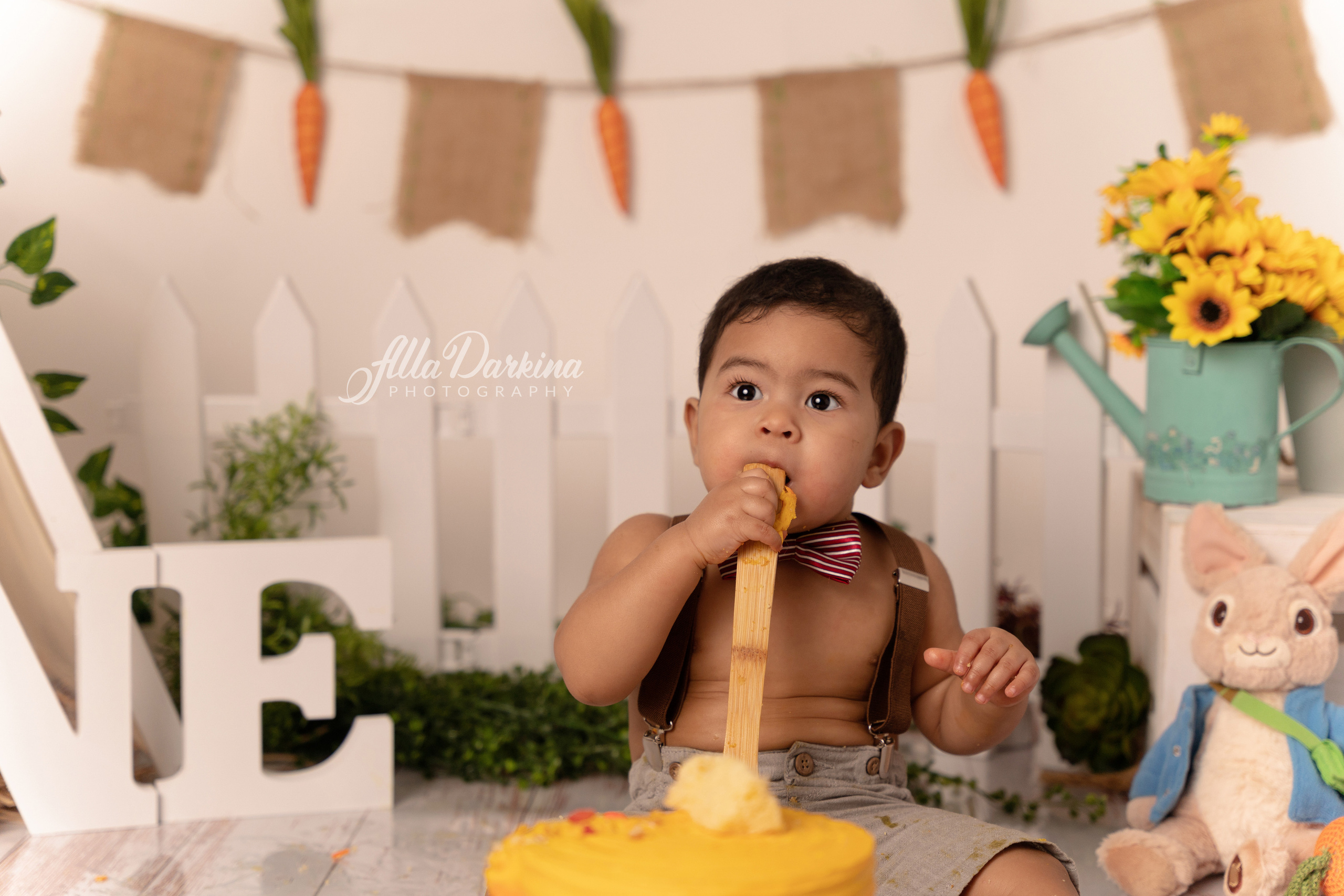 Peter rabbit cake smash for one-year-old baby. Newborn and family photographer. Hills District. Sydney