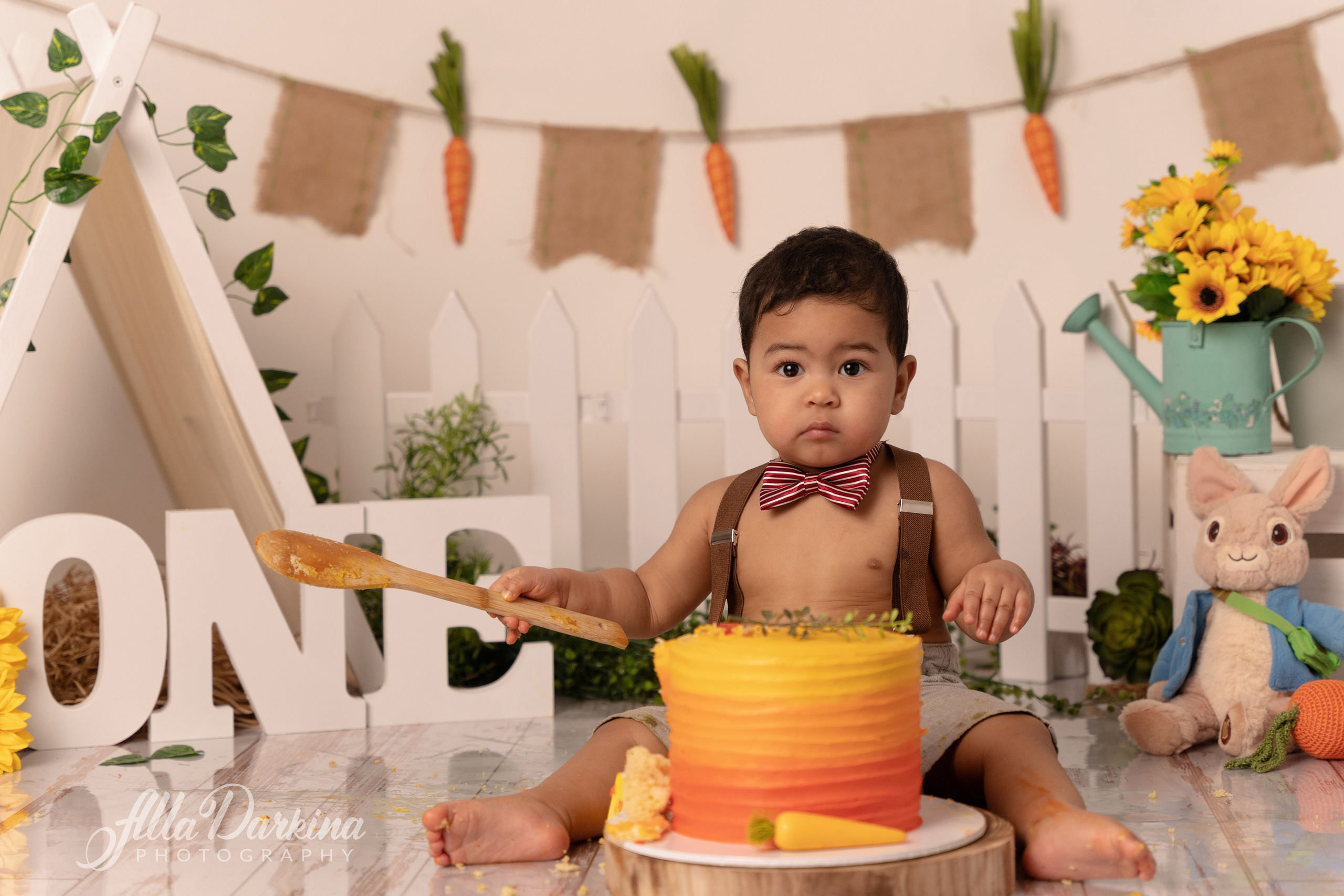 Peter rabbit cake smash for one-year-old baby. Newborn and family photographer. Hills District. Sydney