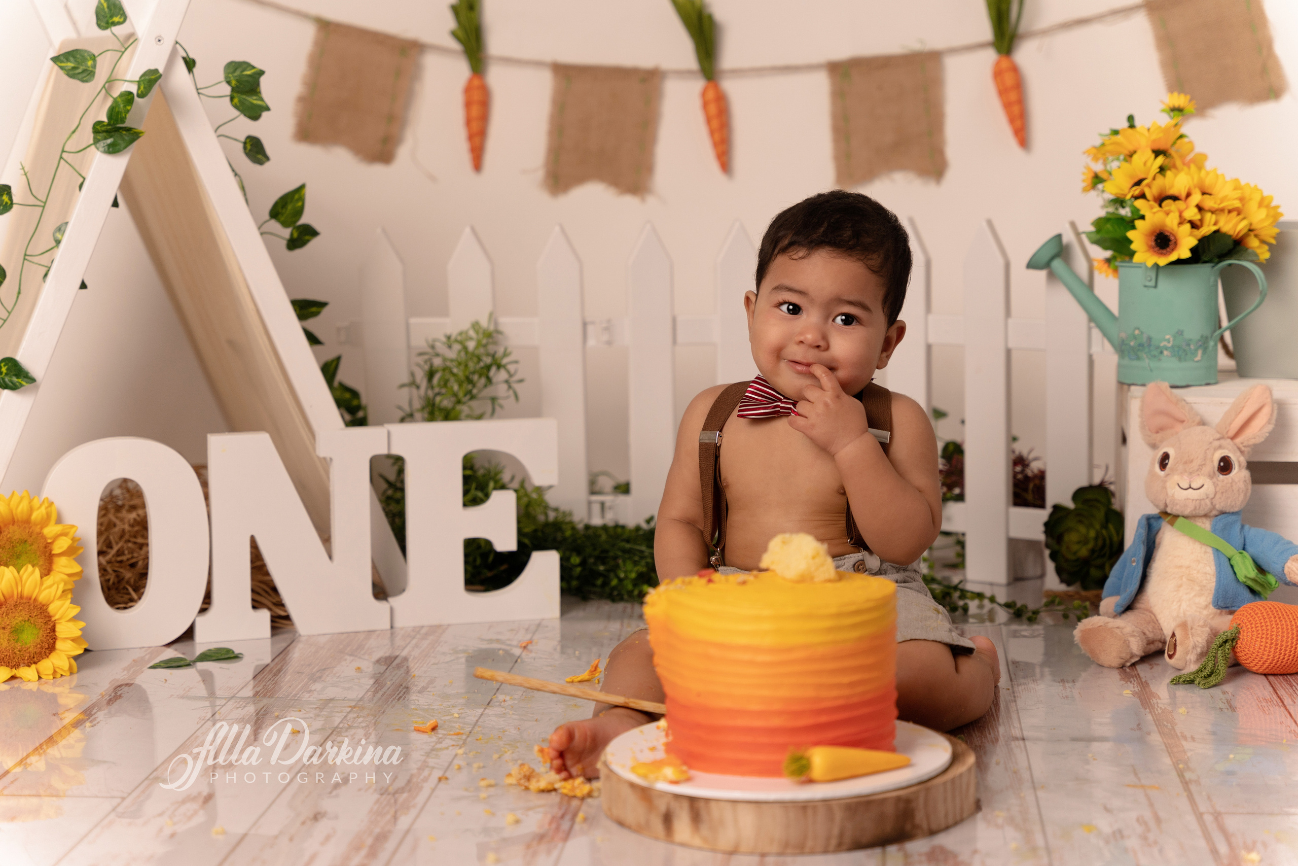 Peter rabbit cake smash for one-year-old baby. Newborn and family photographer. Hills District. Sydney