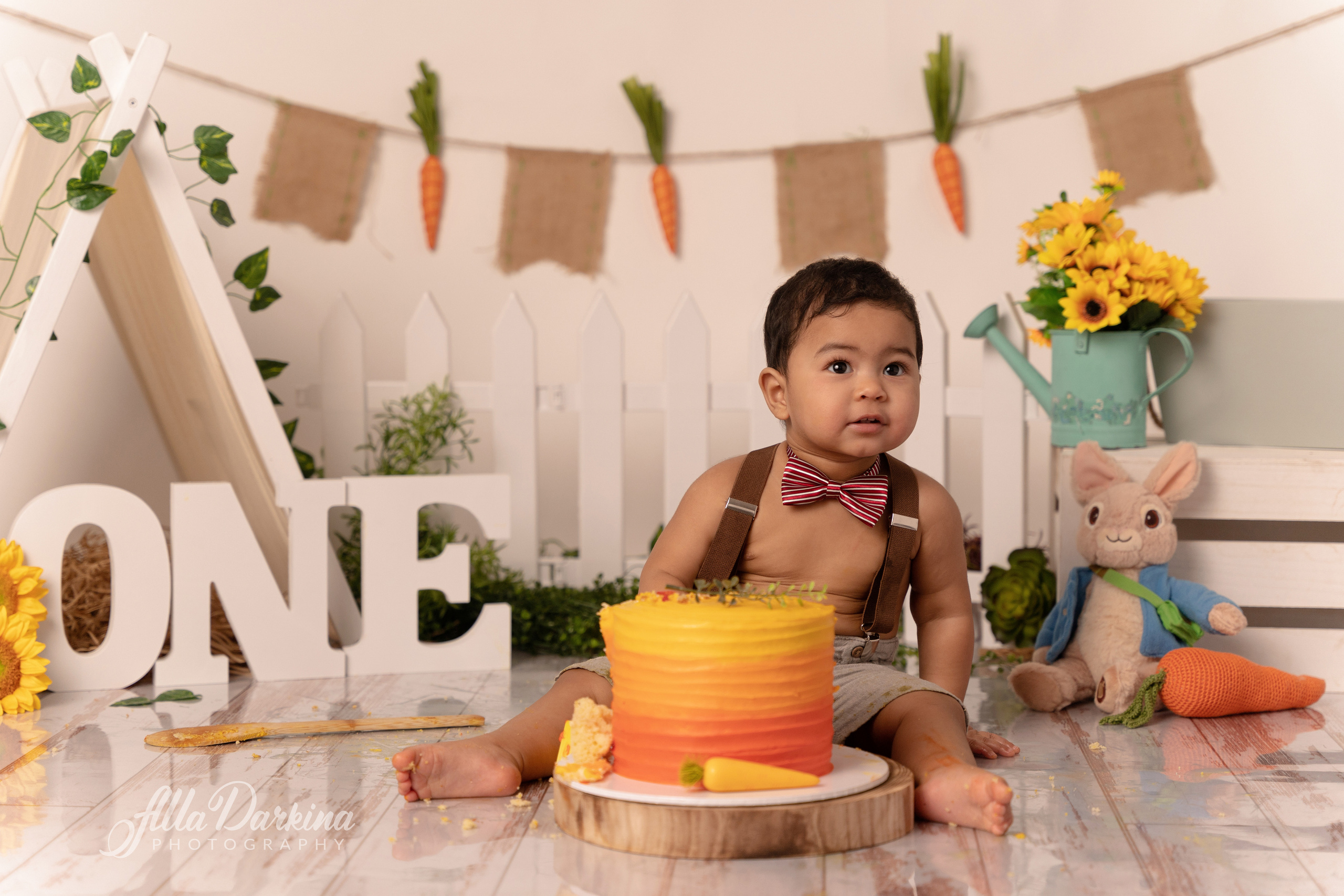 Peter rabbit cake smash for one-year-old baby. Newborn and family photographer. Hills District. Sydney