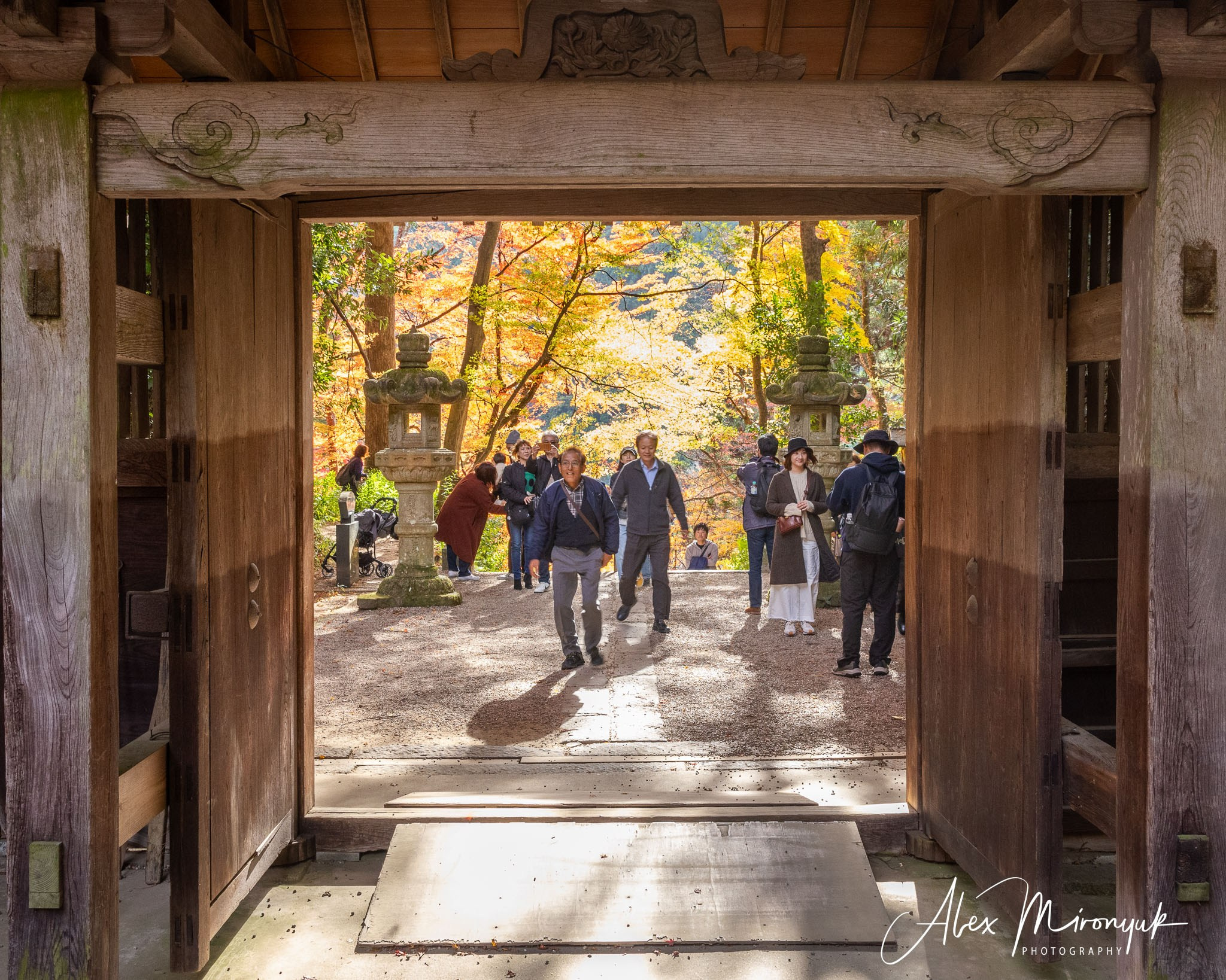 Autumn Colors of Japan. Pet, Senior, Landscape, portrait studio, photographer in Miami and Sou