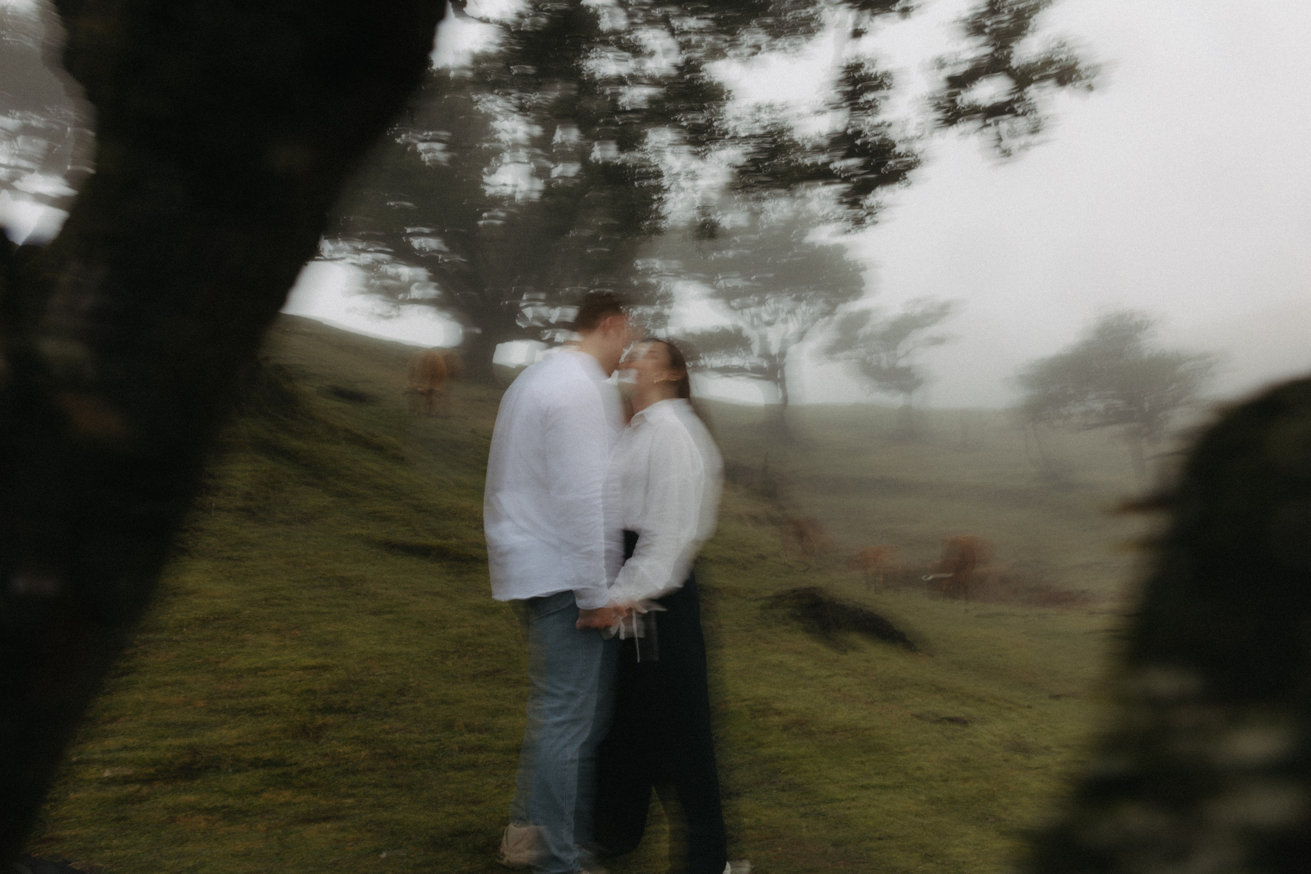 Magic of Fanal Forest. Wedding photographer and videographer based in Timisoara, Romania