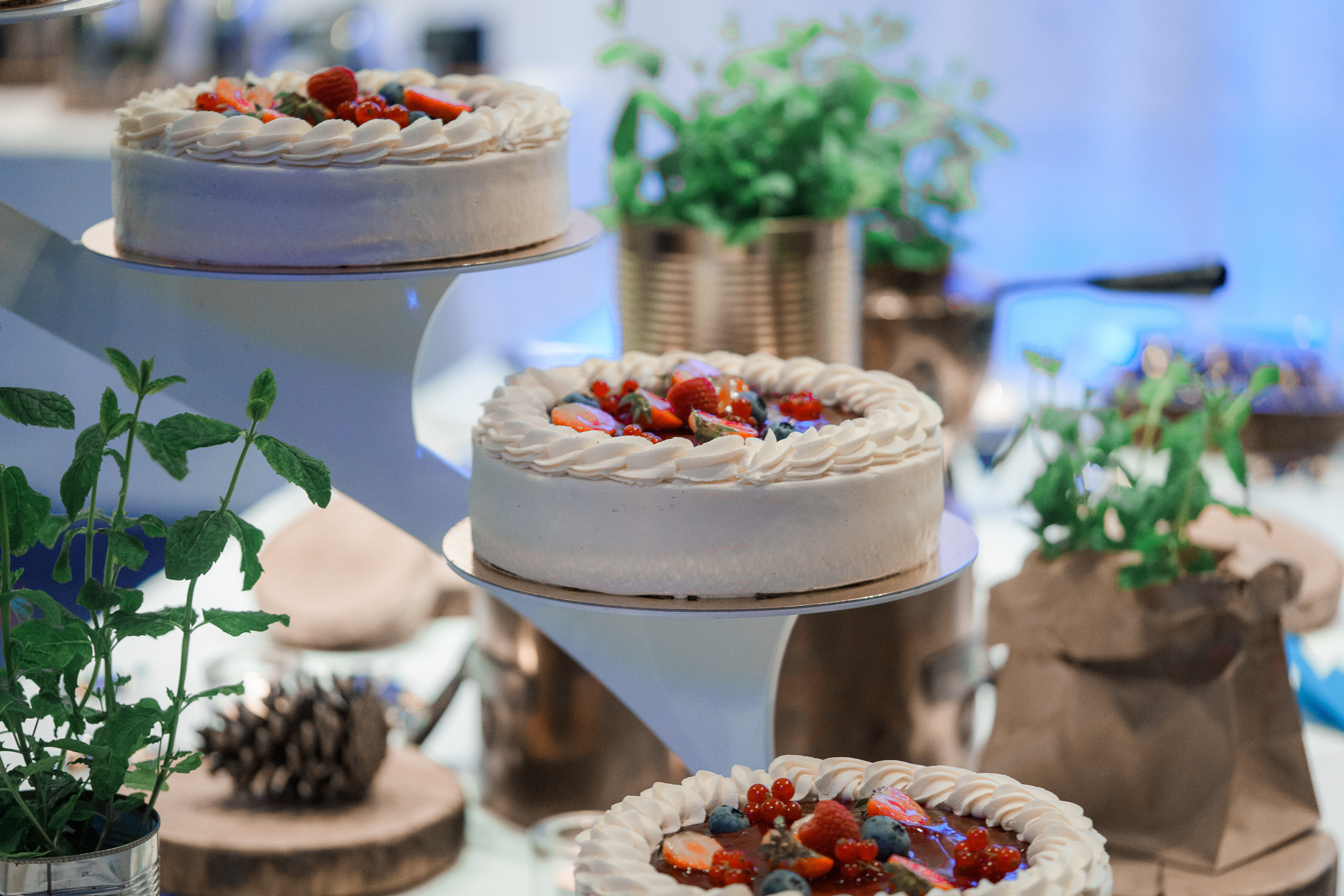 Häävalokuvaaja Johanneksen kirkko, Radisson blue