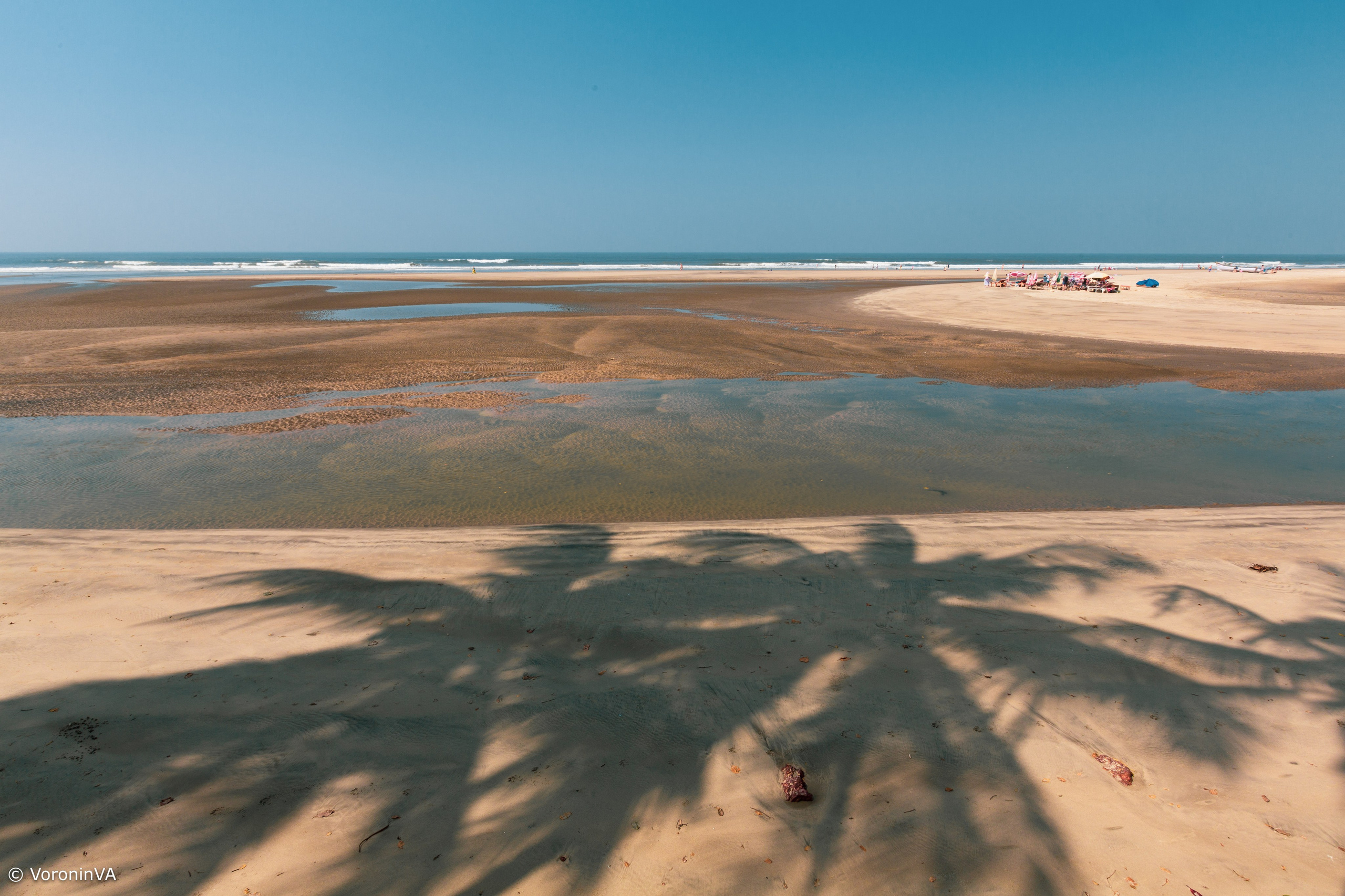 Vladimir Voronin — Walks, Portraits & Premium Prints. Photographer St. Augustine