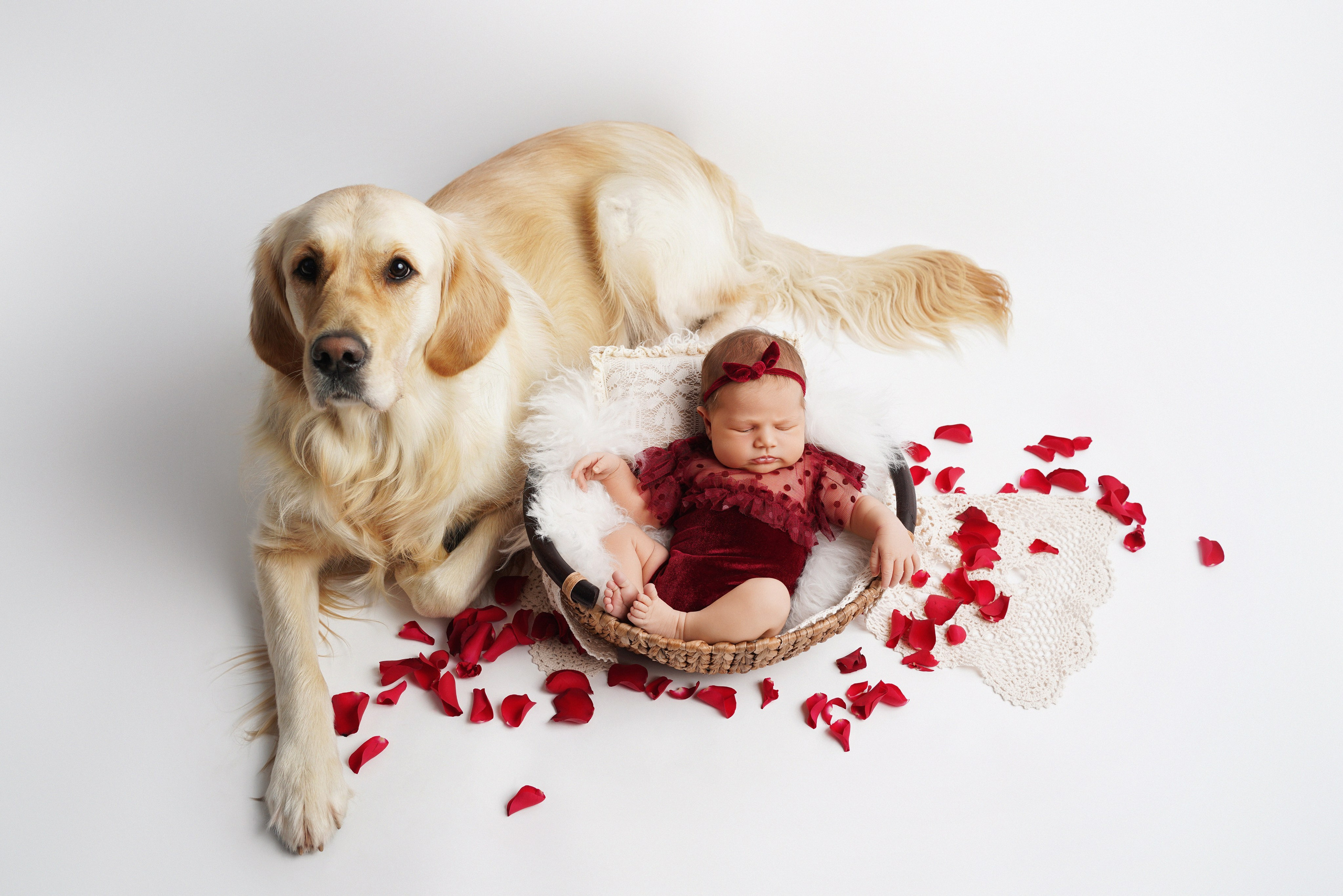Baby in Holztrog mit Trockenblumen und Naturtextilien – Fotostudio Augsburg
