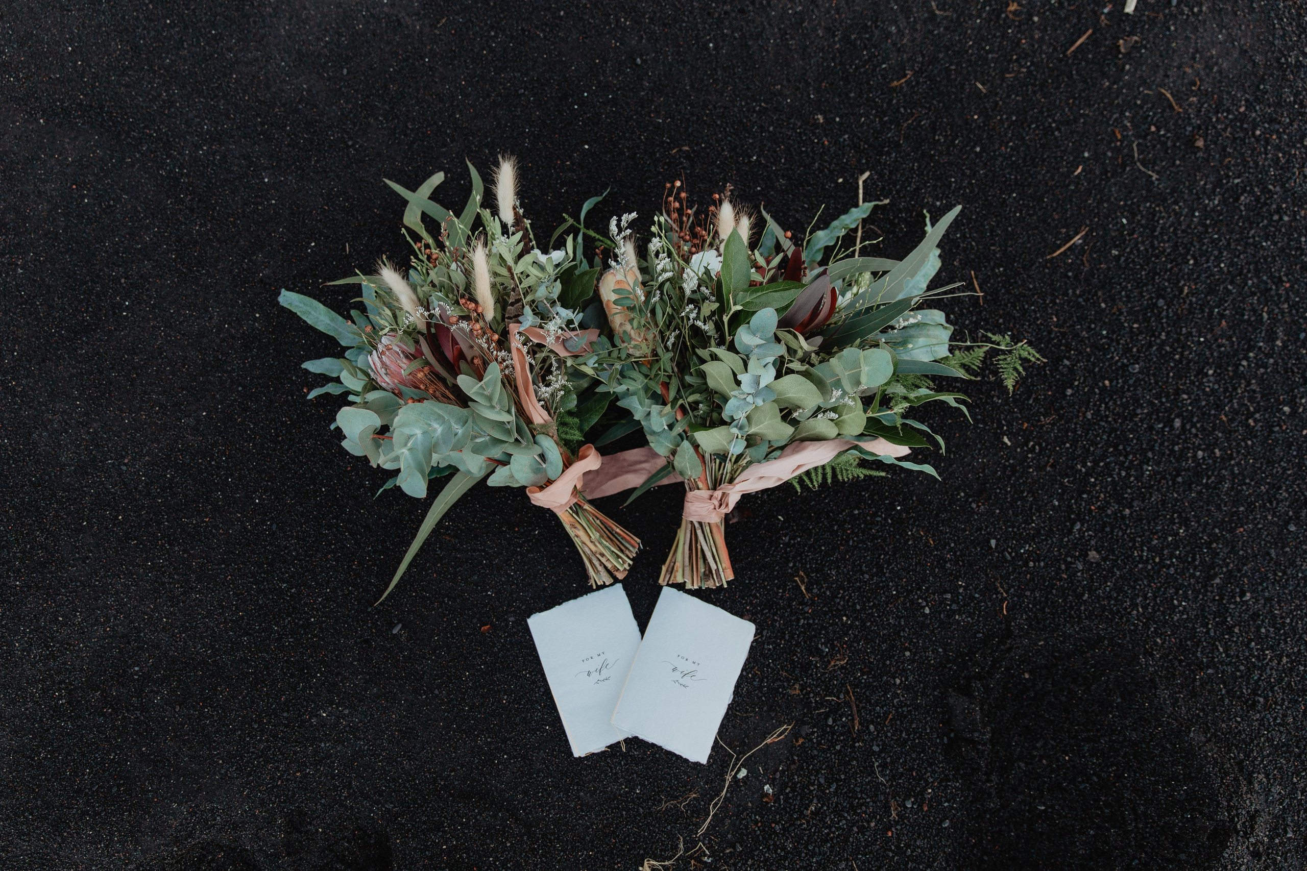 Same Sex Wedding at Iceland Black Sand Beach. Iceland elopement photographer & videographer