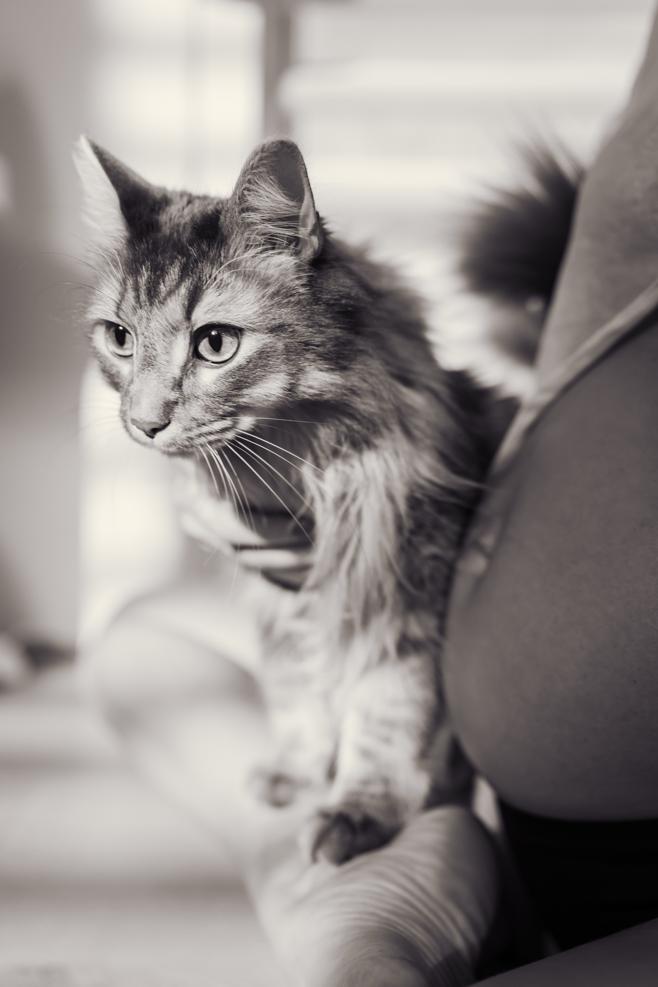 PRICES. Dash_photopic.I’m Daria New York based photographer