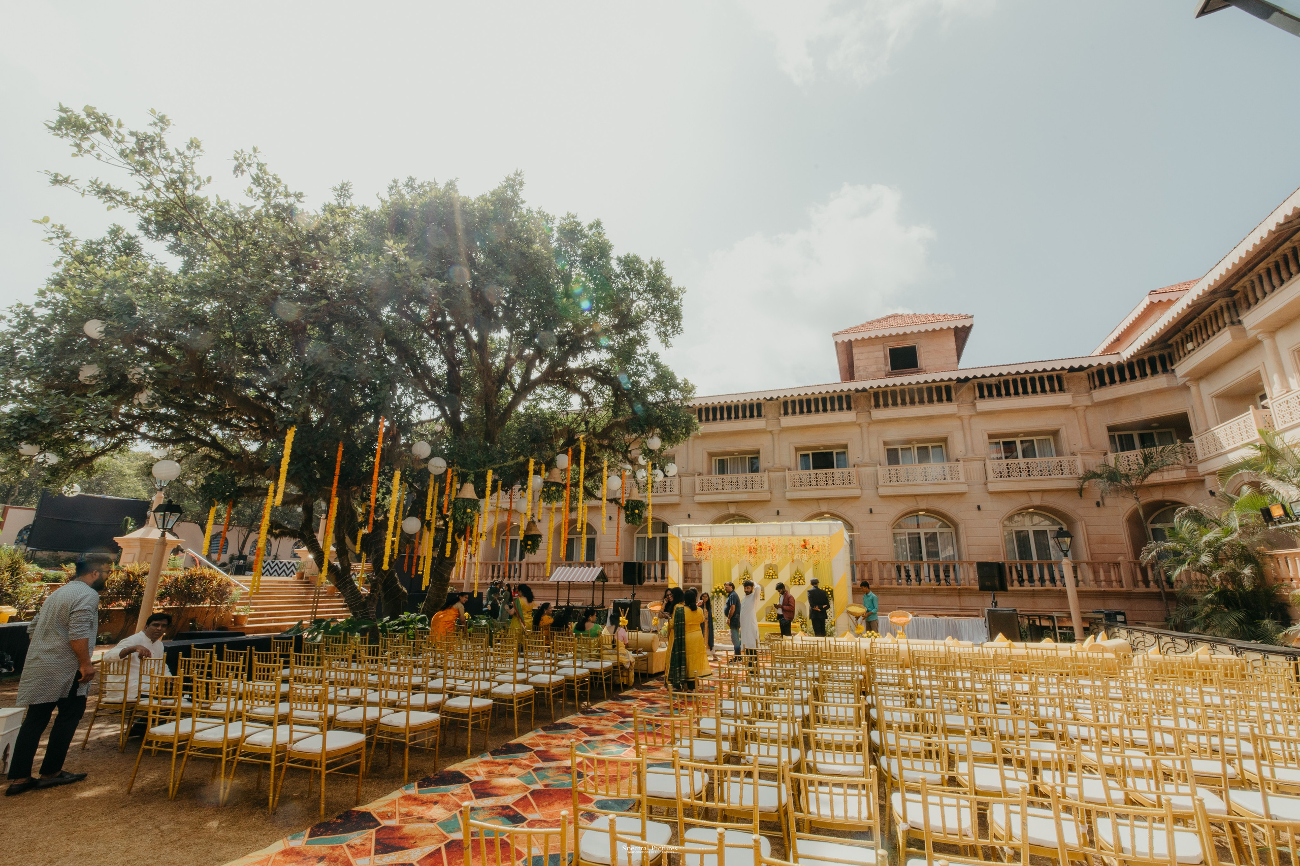 #THEPURALOVESTORY is a journey of two hearts growing in sync, across seasons, challenges, and memories