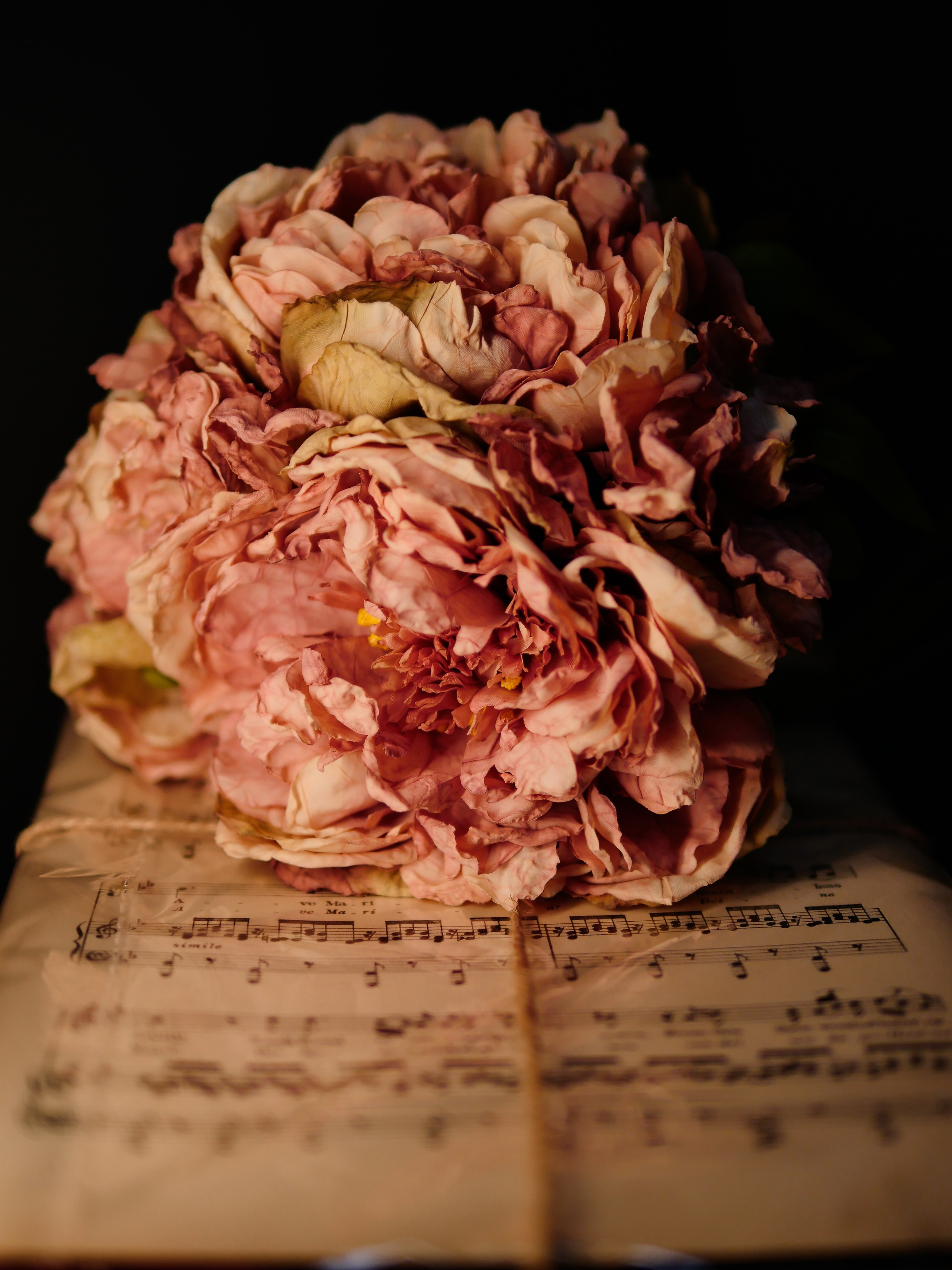 Expect Miracles Photography by Kate & Andrew