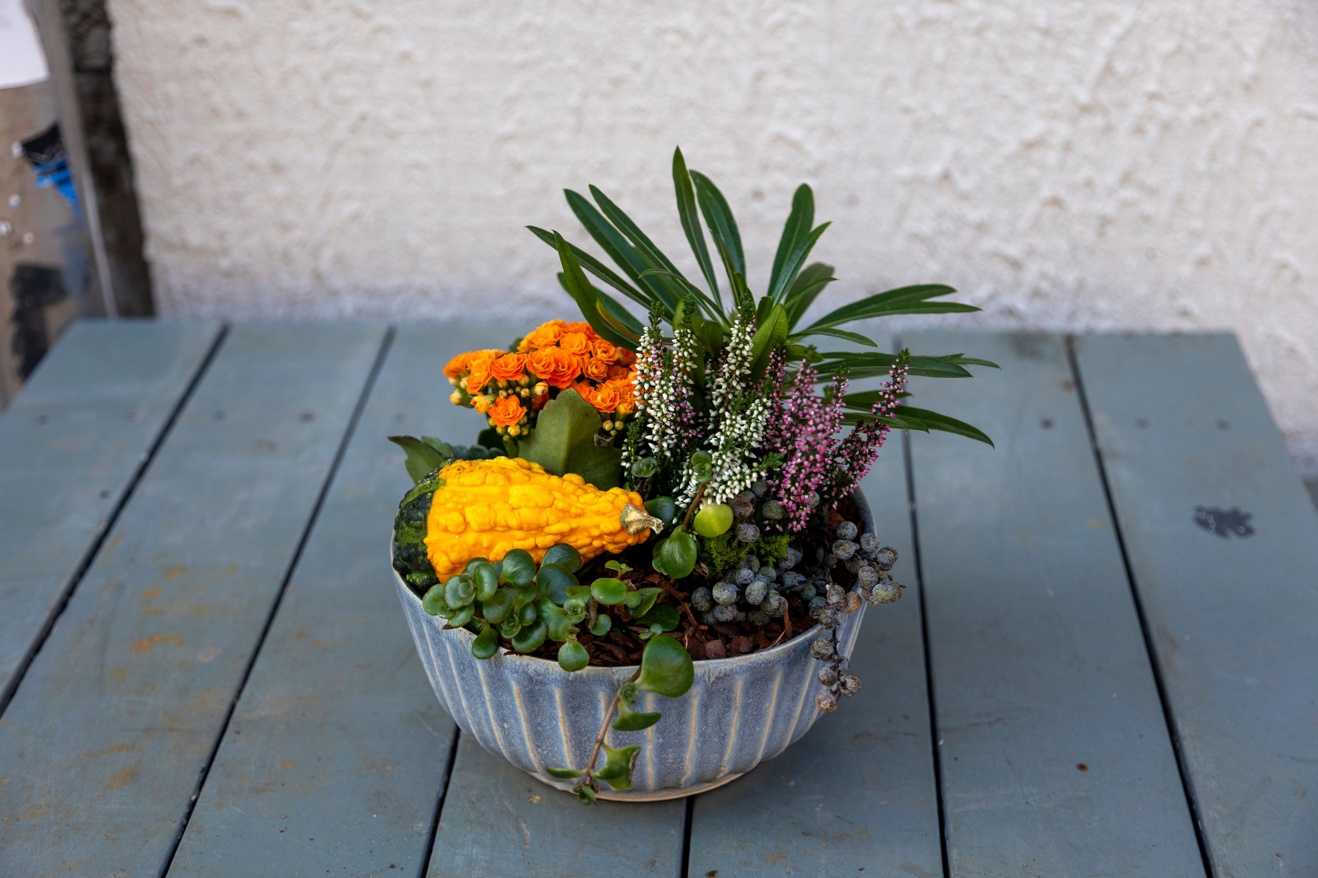 Gavekurve i Aarhus. Akropolis Blomster | Din døgn blomsterbutik i Aarhus