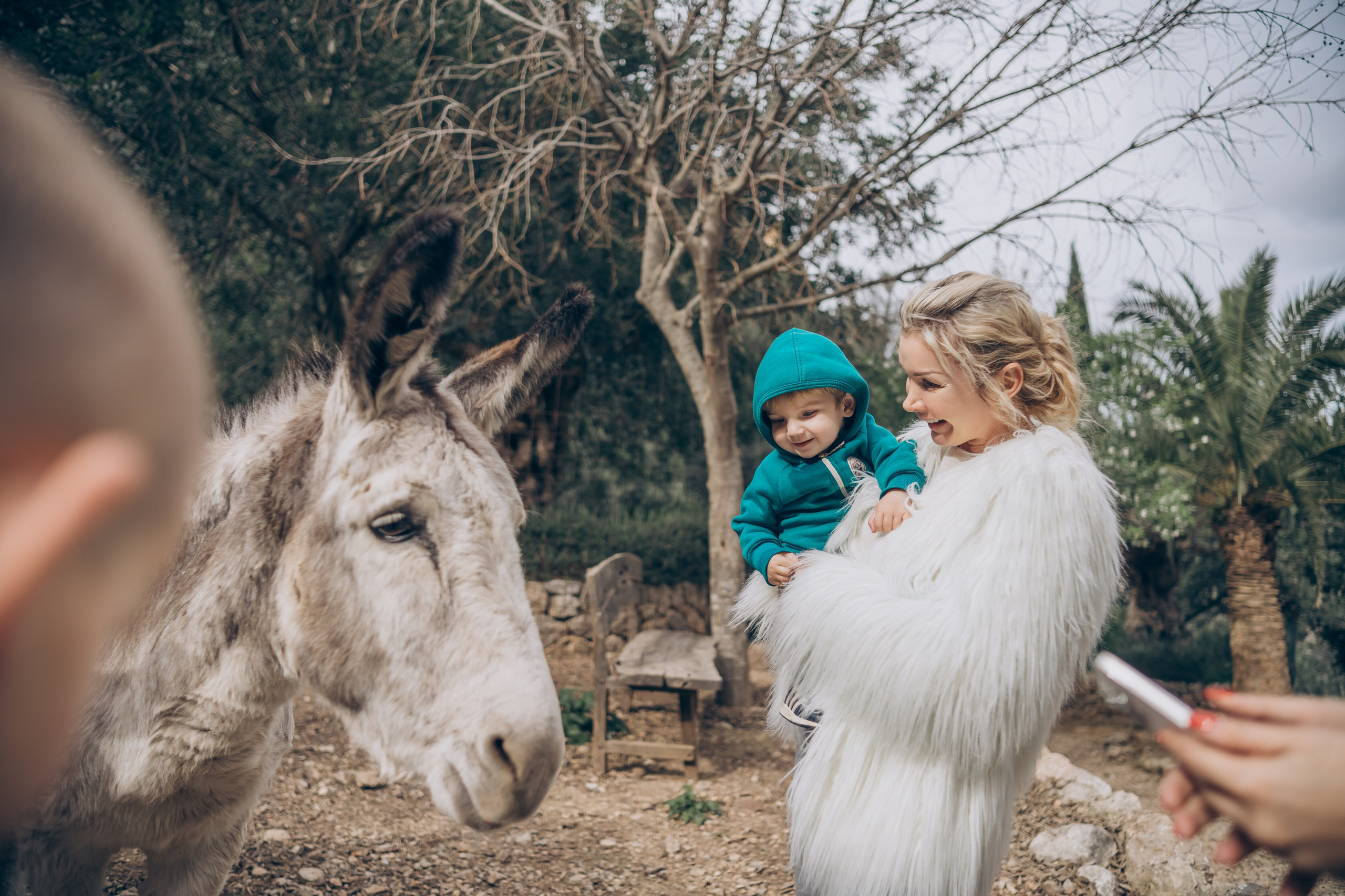 Gender party. Photographer in Mallorca
