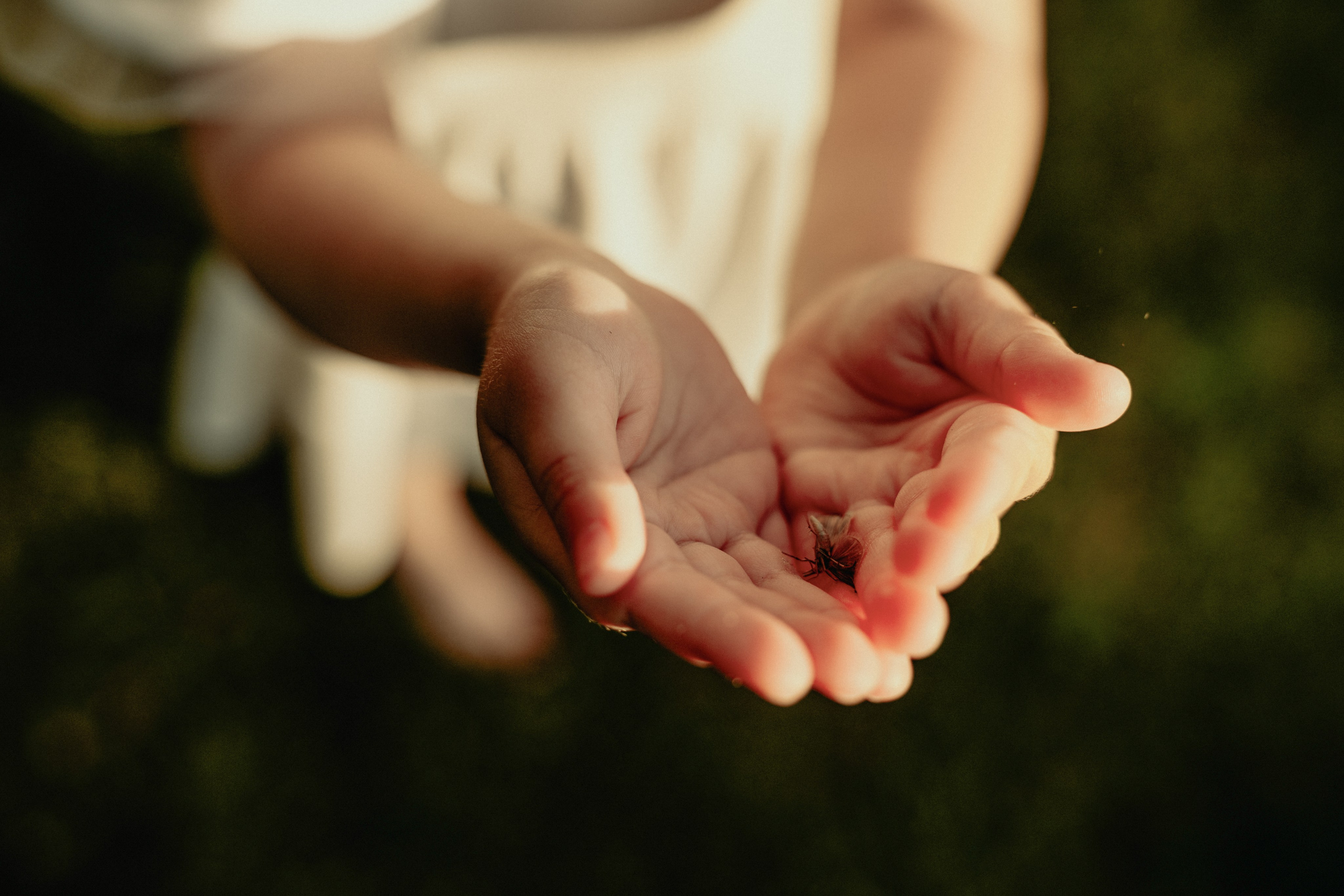 Fall Family Photoshoot – Warm Colors & Cozy Moments. Alisa Tant — Family and newborn photographer Bucks County, Montgomery county, Philadelphia, NJ