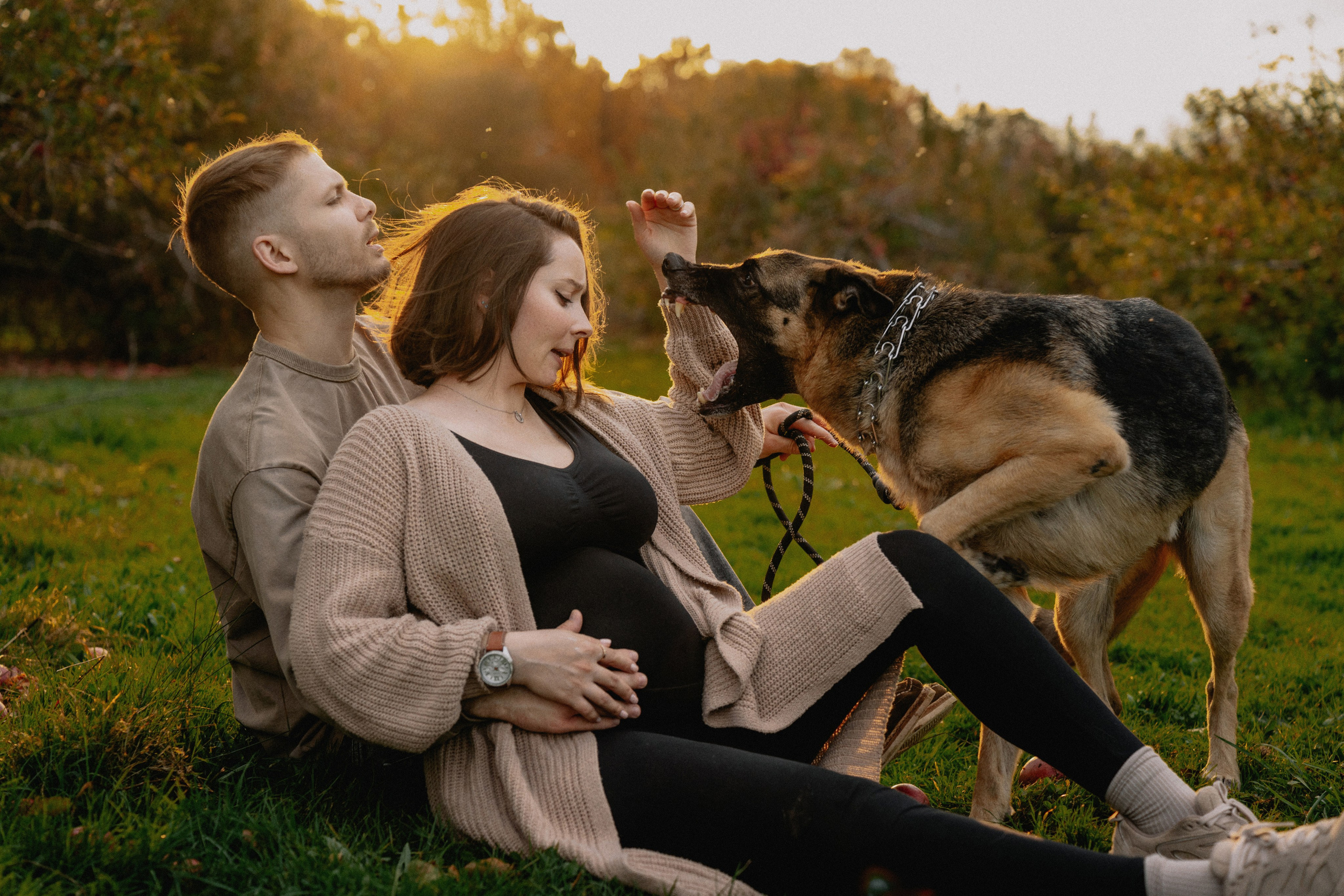 Fall Maternity Photography – Golden Autumn & Apple Orchard Magic. Alisa Tant — Family and newborn photographer Bucks County, Montgomery county, Philadelphia, NJ