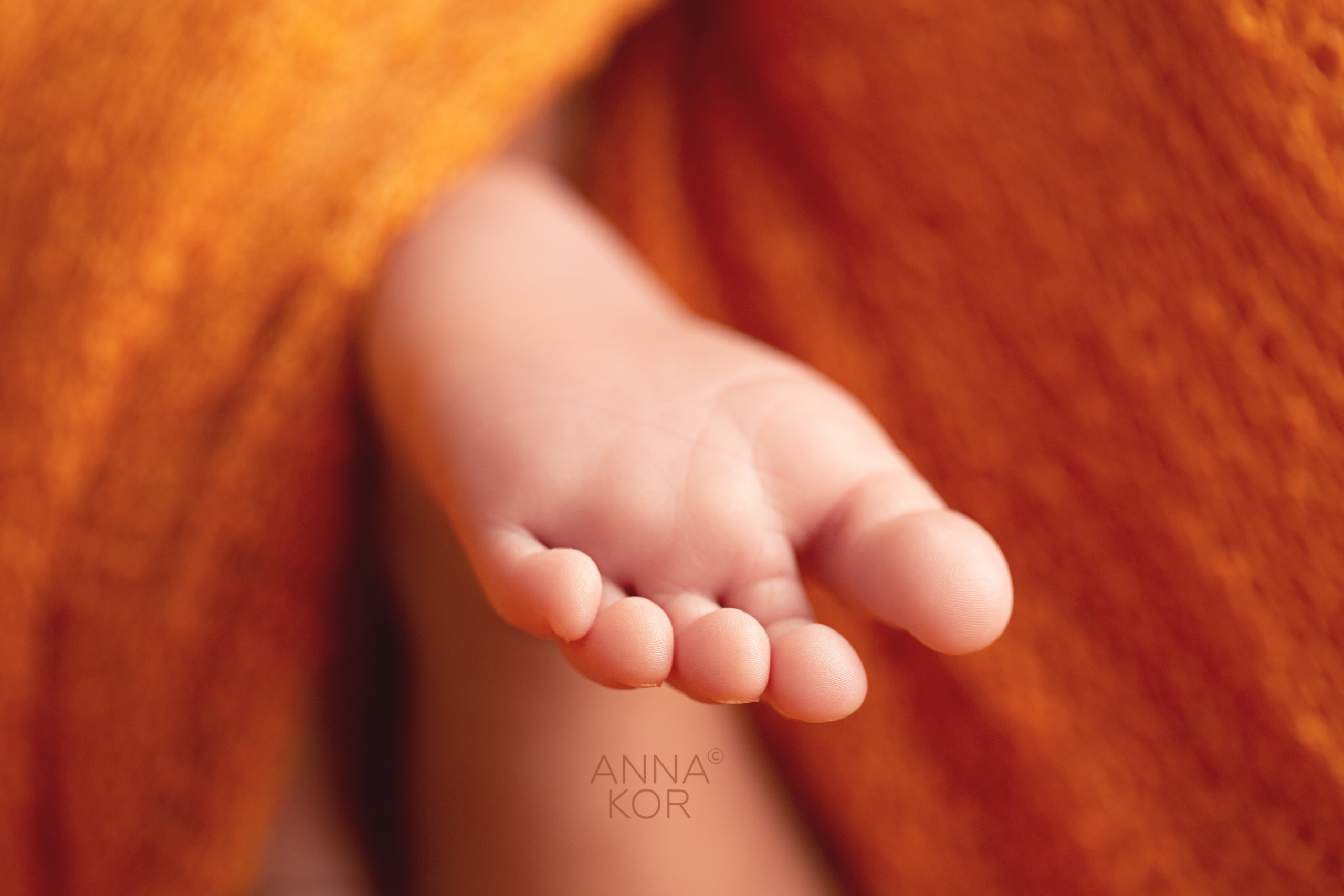ANNA KOR Newborn Photographer in the UAE