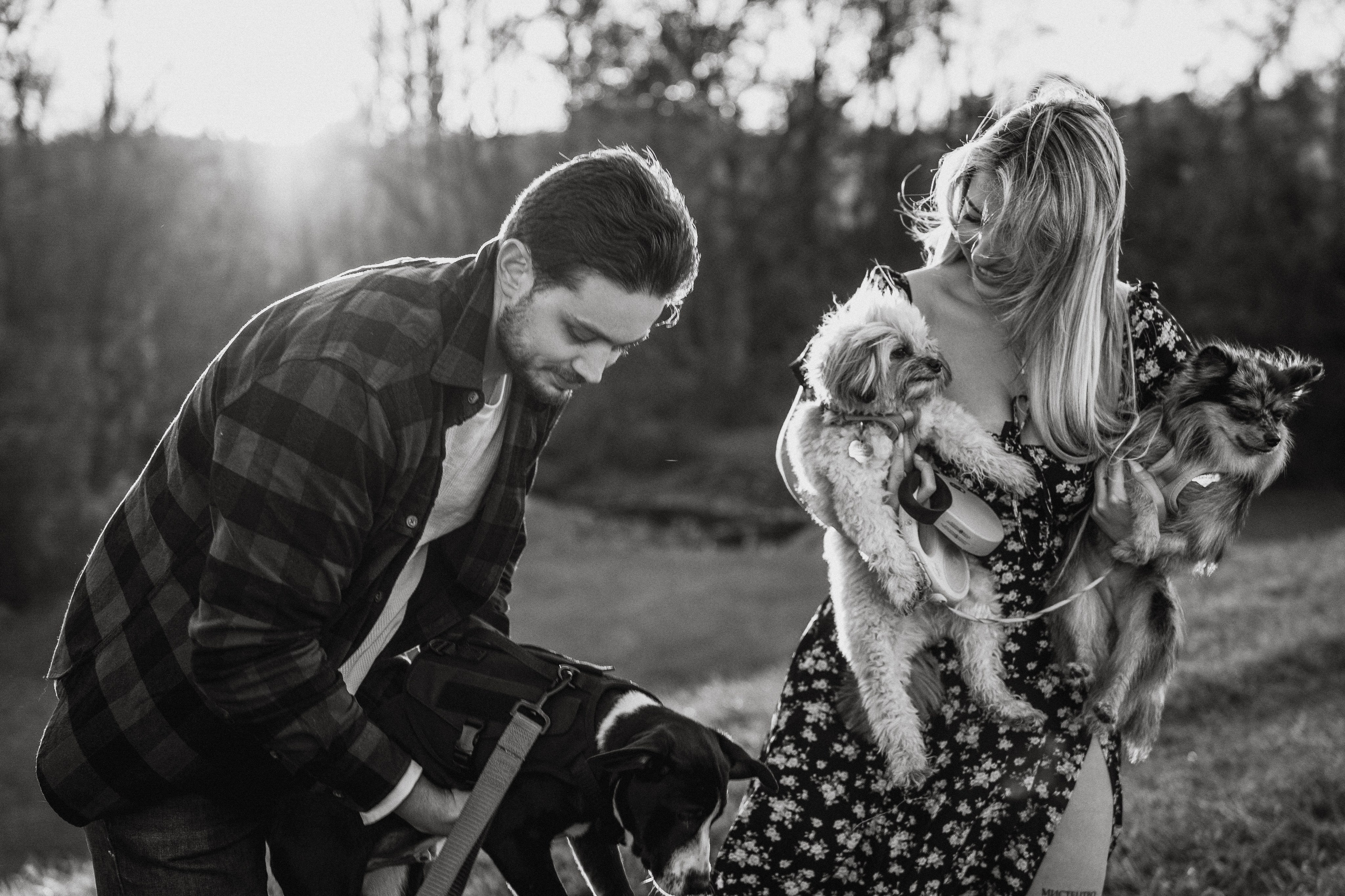 ENGAGEMENT. Wedding and family photographer and videographer PA, NJ, NY, DE, MD